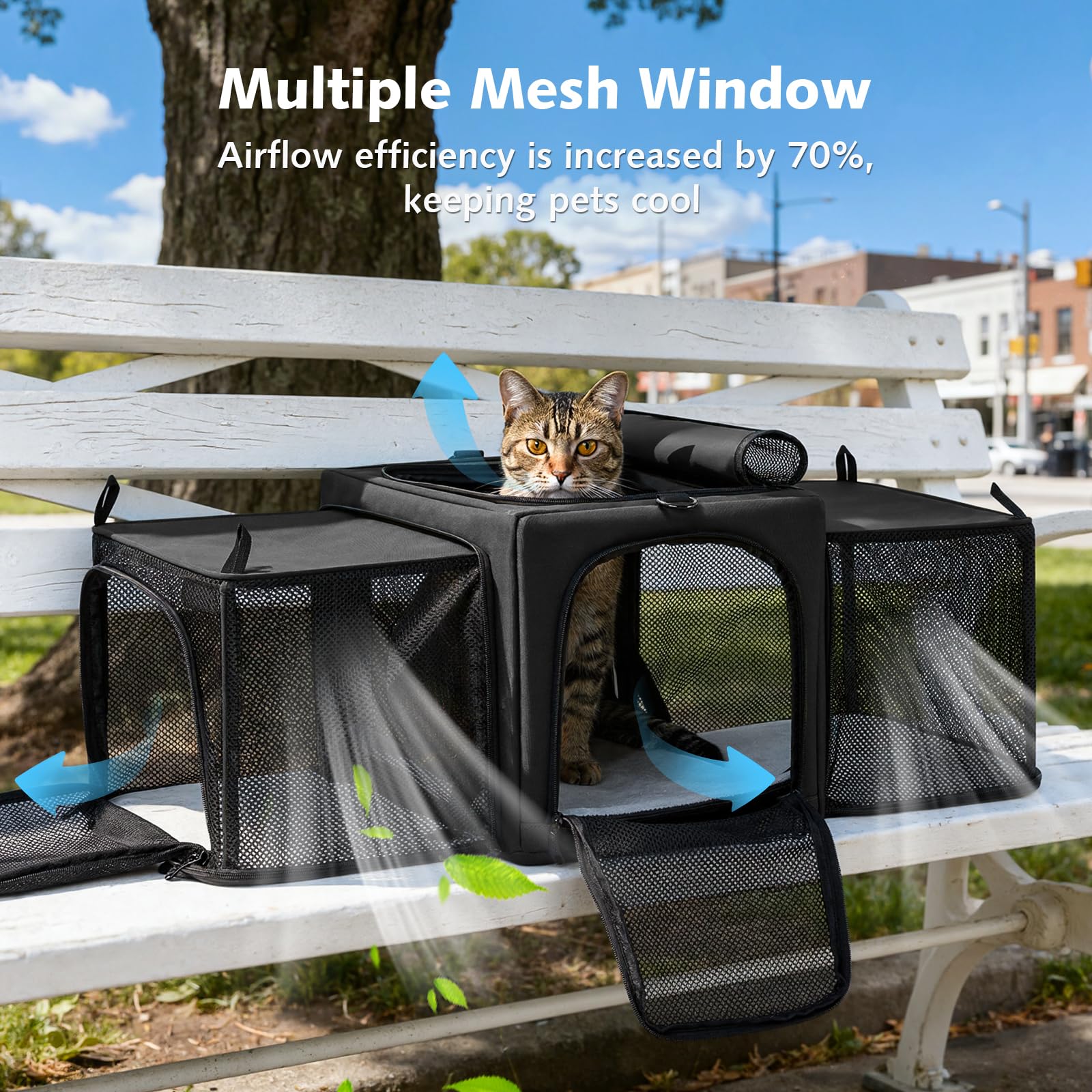 Pecute Transportbox Katze für Katzen & Kleine Hunde, Faltbar mit Seitenerweiterung, Atmungsaktiv Stabil, Ausbruchschutz, Für Auto Reisen Tierarzt, Dunkelgrau