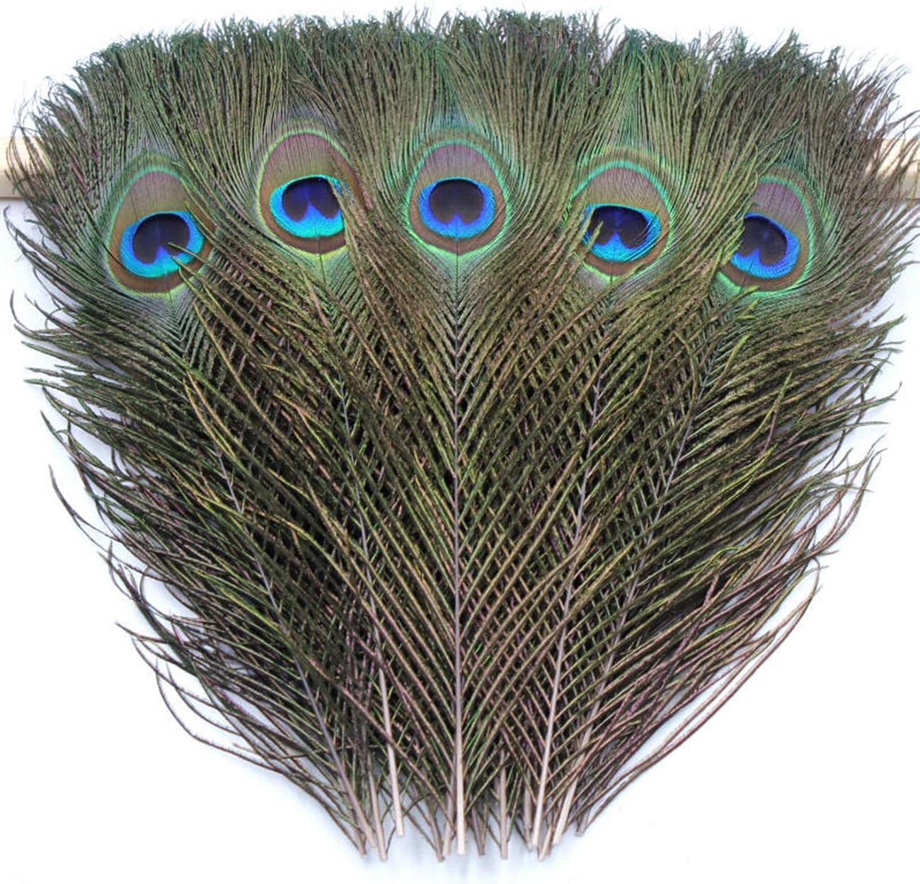 Tinsow Natural Peacock Eye Feathers 9.8 11.8 inch for DIY Craft, Wedding Holiday Decoration (35)