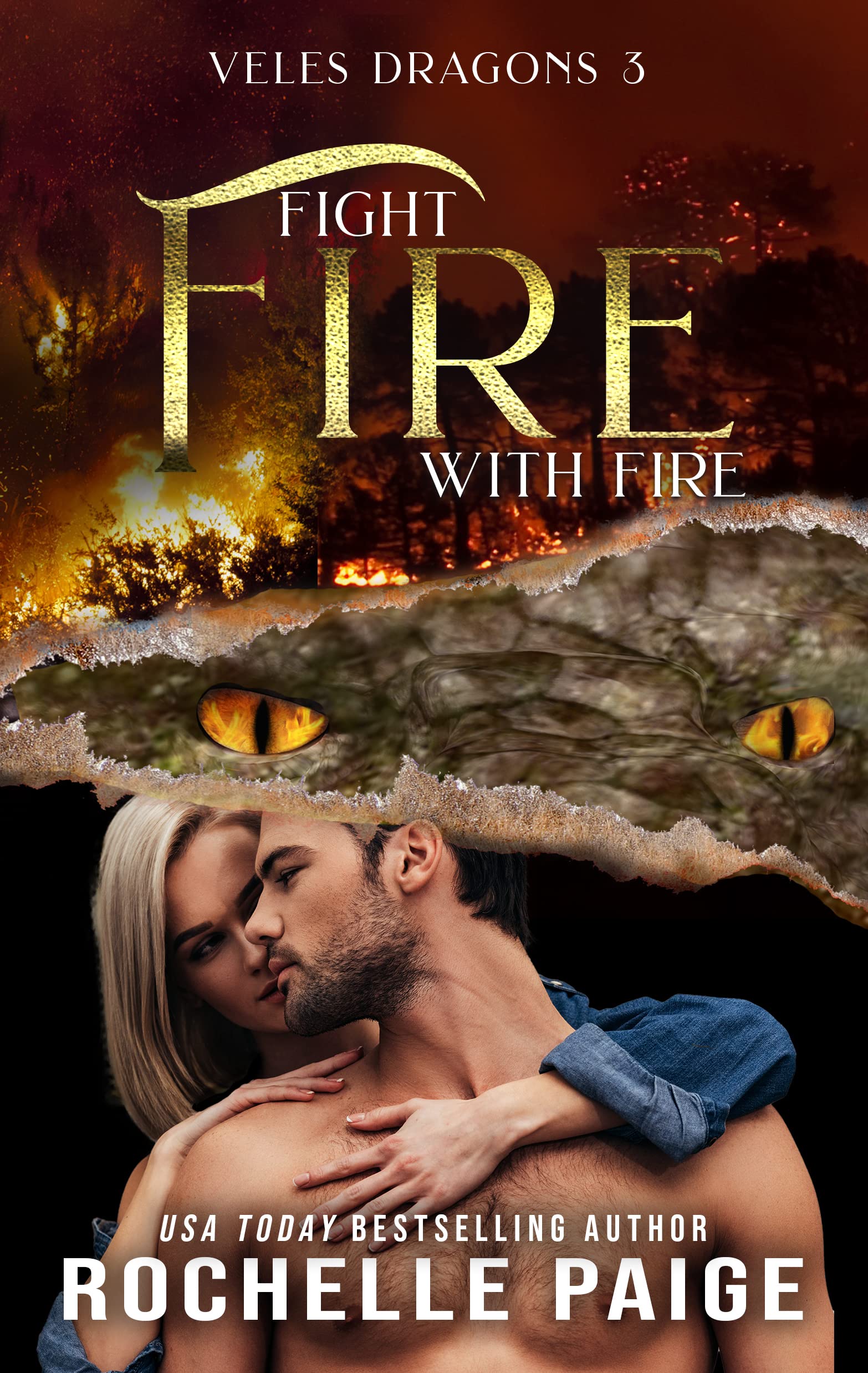 Cover of Fight Fire with Fire