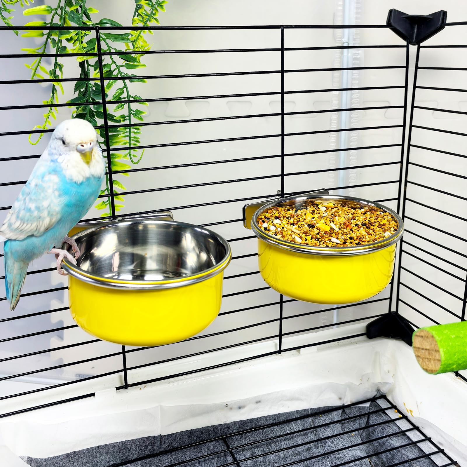 Kathson 2Pcs Stainless Steel Bird Bowls, Parakeet Food Dish Parrot Cage Feeder with Clamp Holder Small Bird Feeding Cup Pet Bird Feeder for Parakeet Cockatiels Conure Budgies Chinchilla Small Animal - image 2