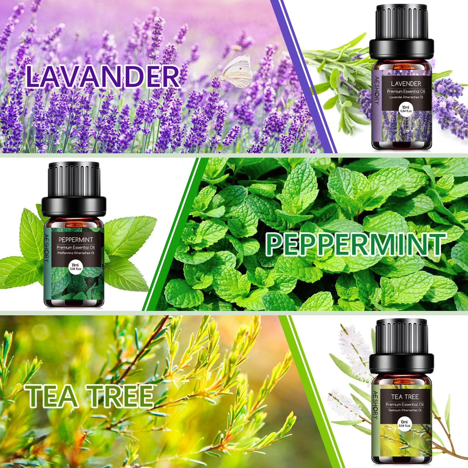 AESHORY Aceites Esenciales para Humidificador TOP 6 x 10ML, Aceite Aromáticos Natural, Set de Aceites Esenciales Aromaterapia para Difusor, SPA - Lavanda, Menta, Árbol de Té, Eucalipto, Naranja Dulce
