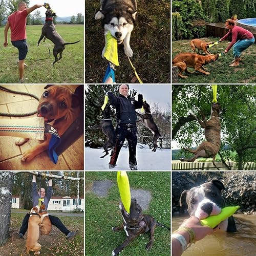 Miniatura 6 de Juguete de remolcador para mordeduras de perro de 10 pulgadas, duradero, juguetes interactivos para perros medianos a grandes, perfecto para tirar y