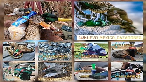 Nuevo Mexico Cazadores TV