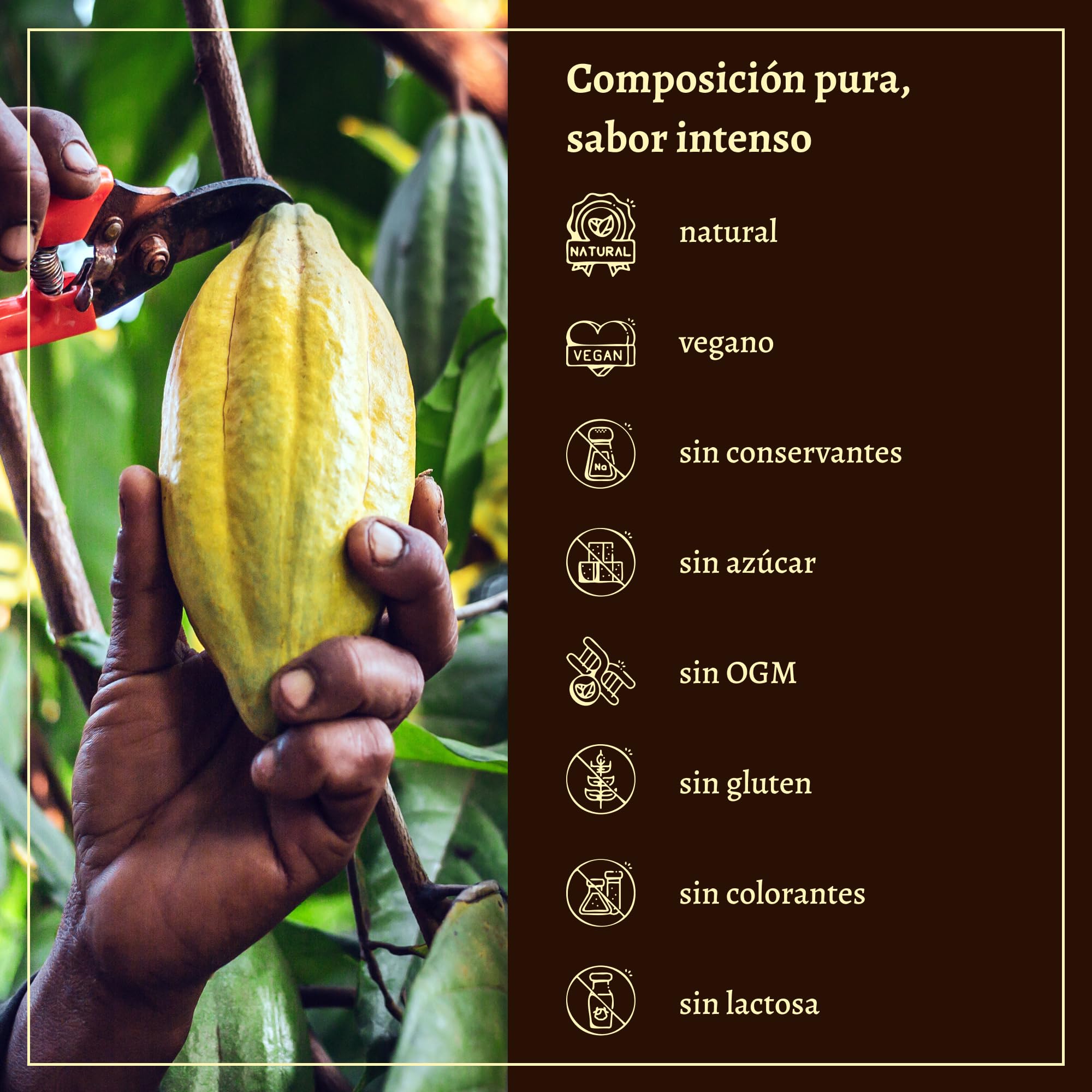 Cacao Ceremonial puro 100% Single Origin, Theobroma, Masa keto para beber sin azúcar, Saludable, sin gluten, Tradicional ceremonias espirituales, Plantación familiar en Sierra Leona, 1kg
