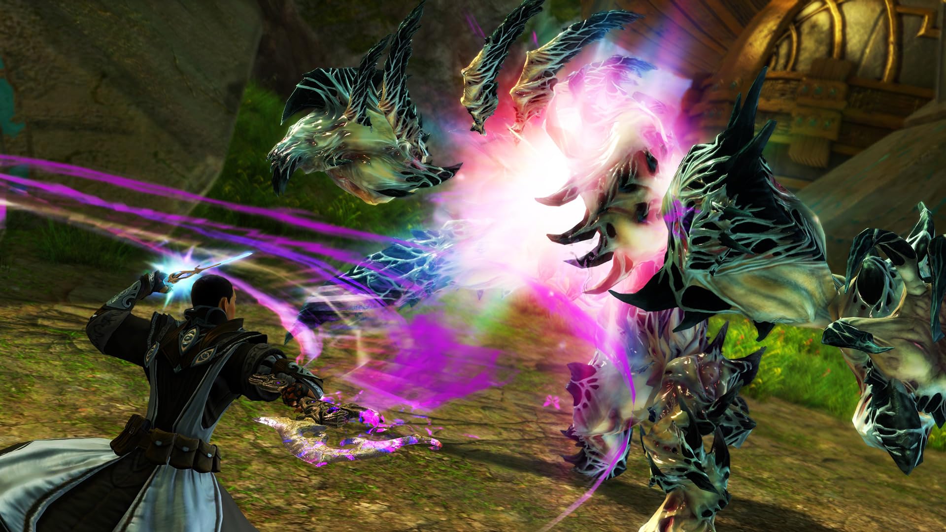 Guild Wars 2: Secrets of the Obscure Standard | Codice per PC
