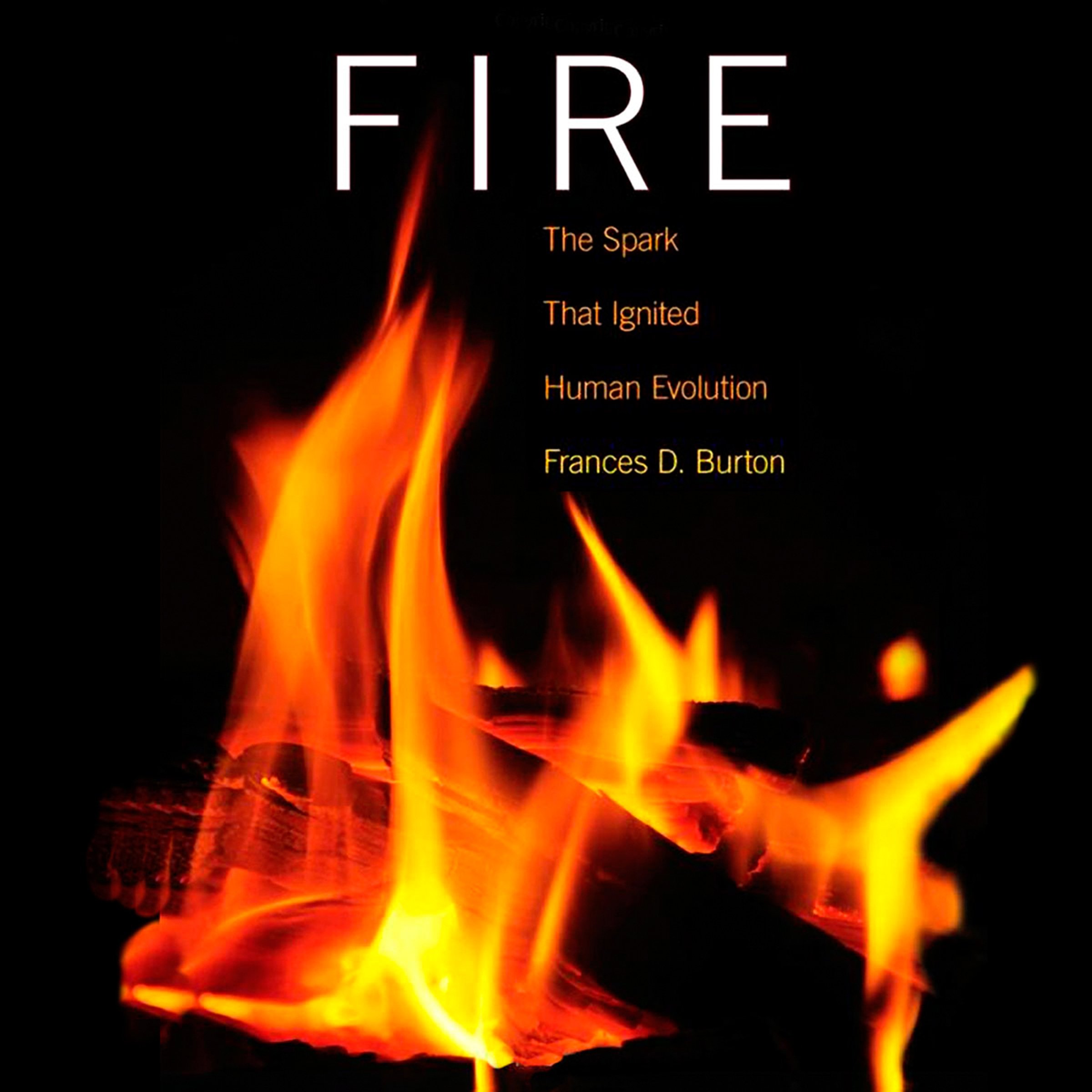Cover art for Fire: The Spark That Ignited Human Evolution