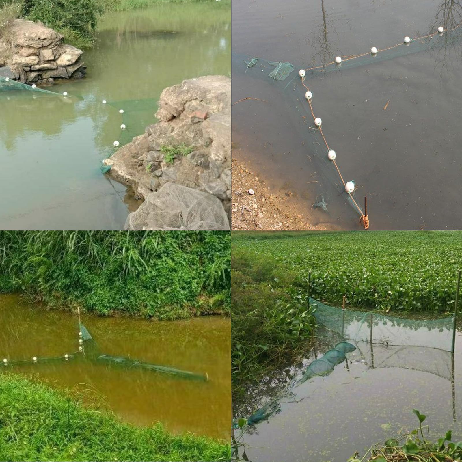 Fischfalle Köderfischreuse Krebsfalle Reusen für Fischfang Faltbare Krabbenfalle mit Schwimmer und Ketten Geeignet für Fischerei, Garnelen, Krabben