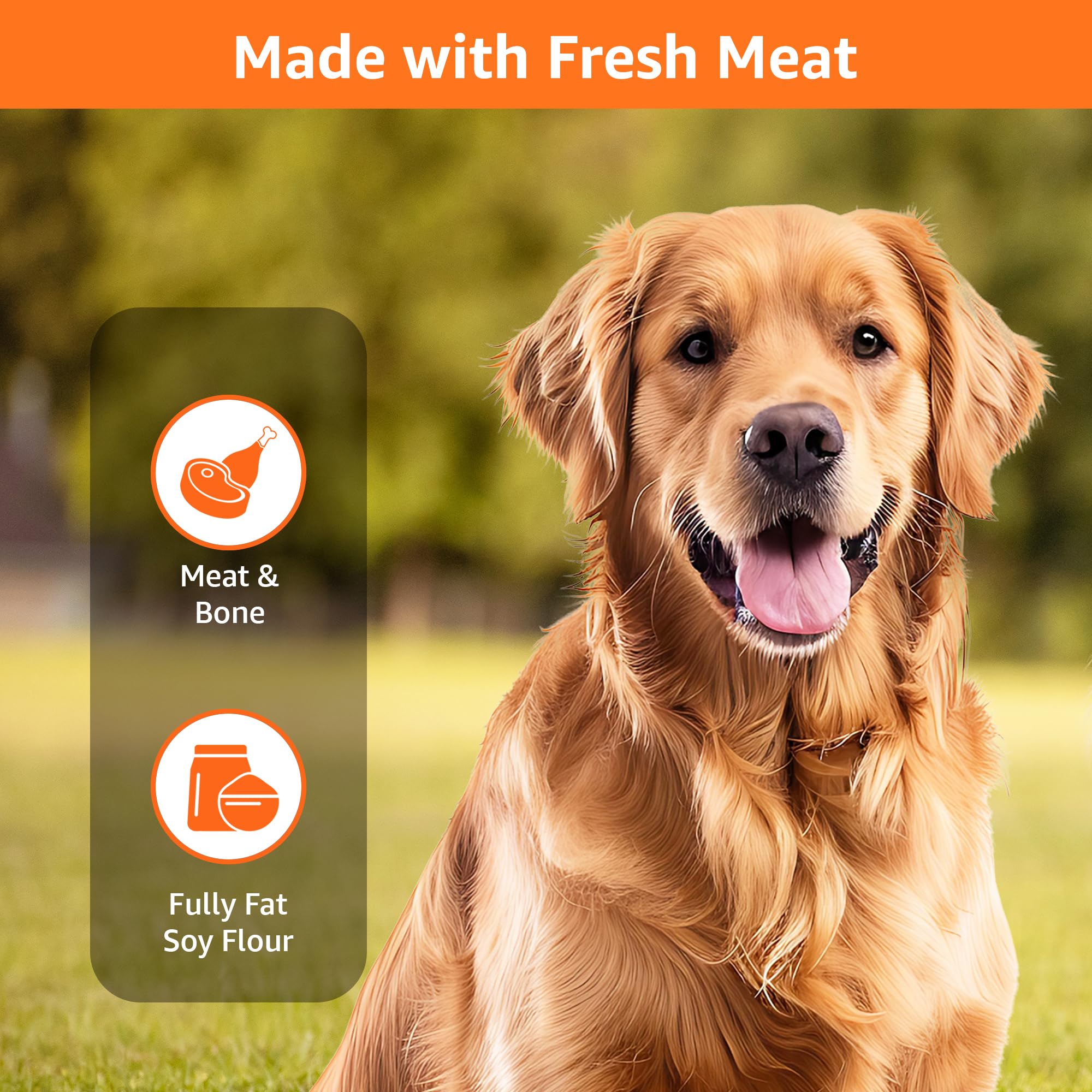 Amazon Basics Dog Biscuits for All Breeds | 1 kg (Pack of 2) | for All Life Stages 2