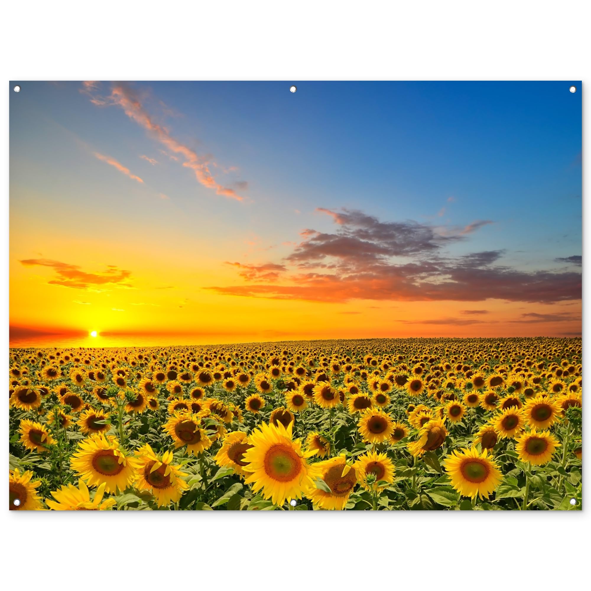 MuchoWow© Garden Poster 62"x47" / 160x120 cm Wall Decor Posters Balcony Accessories Outdoor Decorations Gardens Outside Art Decoration Flowers - Sunflower - Sunset - Night - Orange — image 1