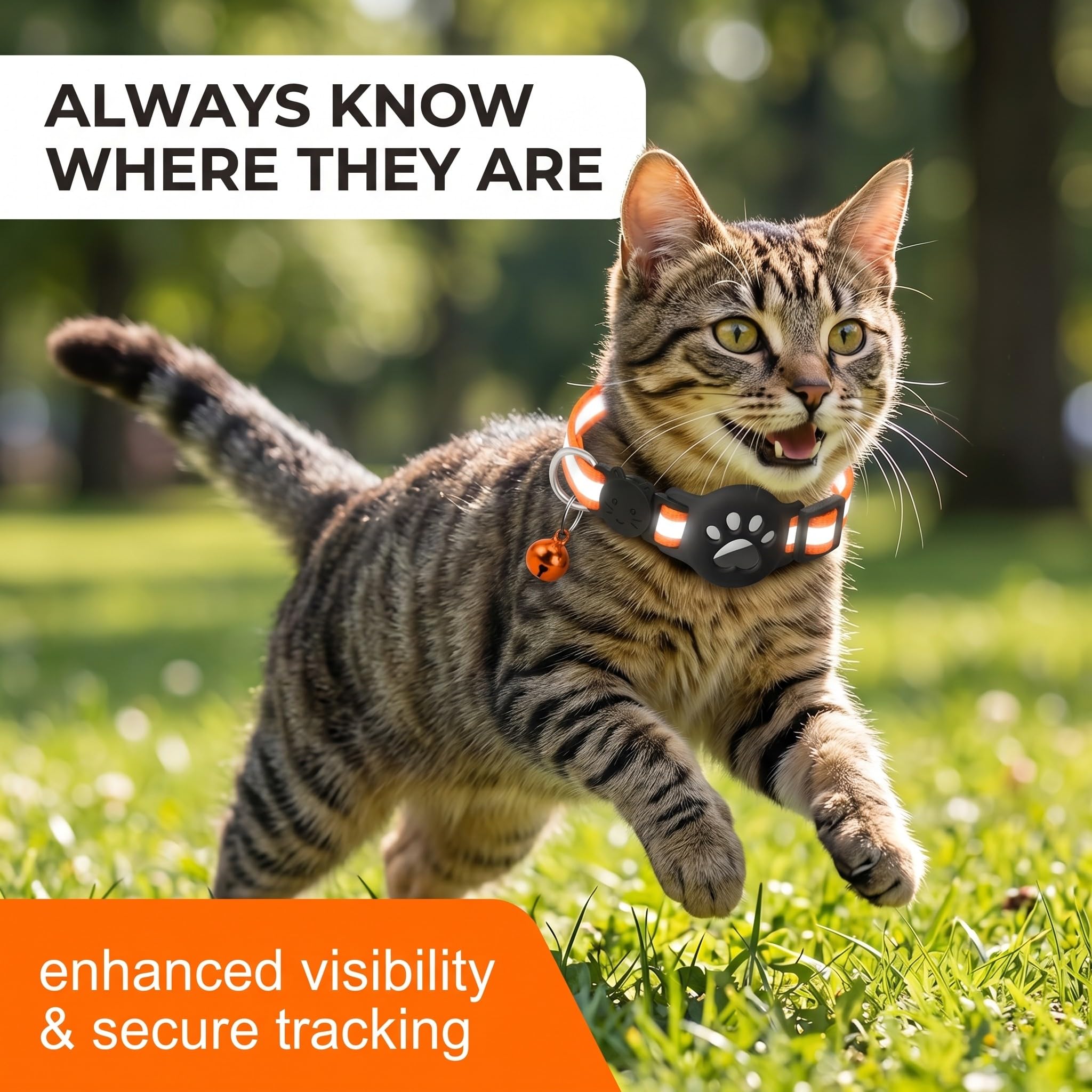 1 Collier Chat avec Support Compatible avec Airtag, Collier GPS Réfléchissant Extensible Orange, avec Silicone, Anti étranglement pour Chats et Chiots