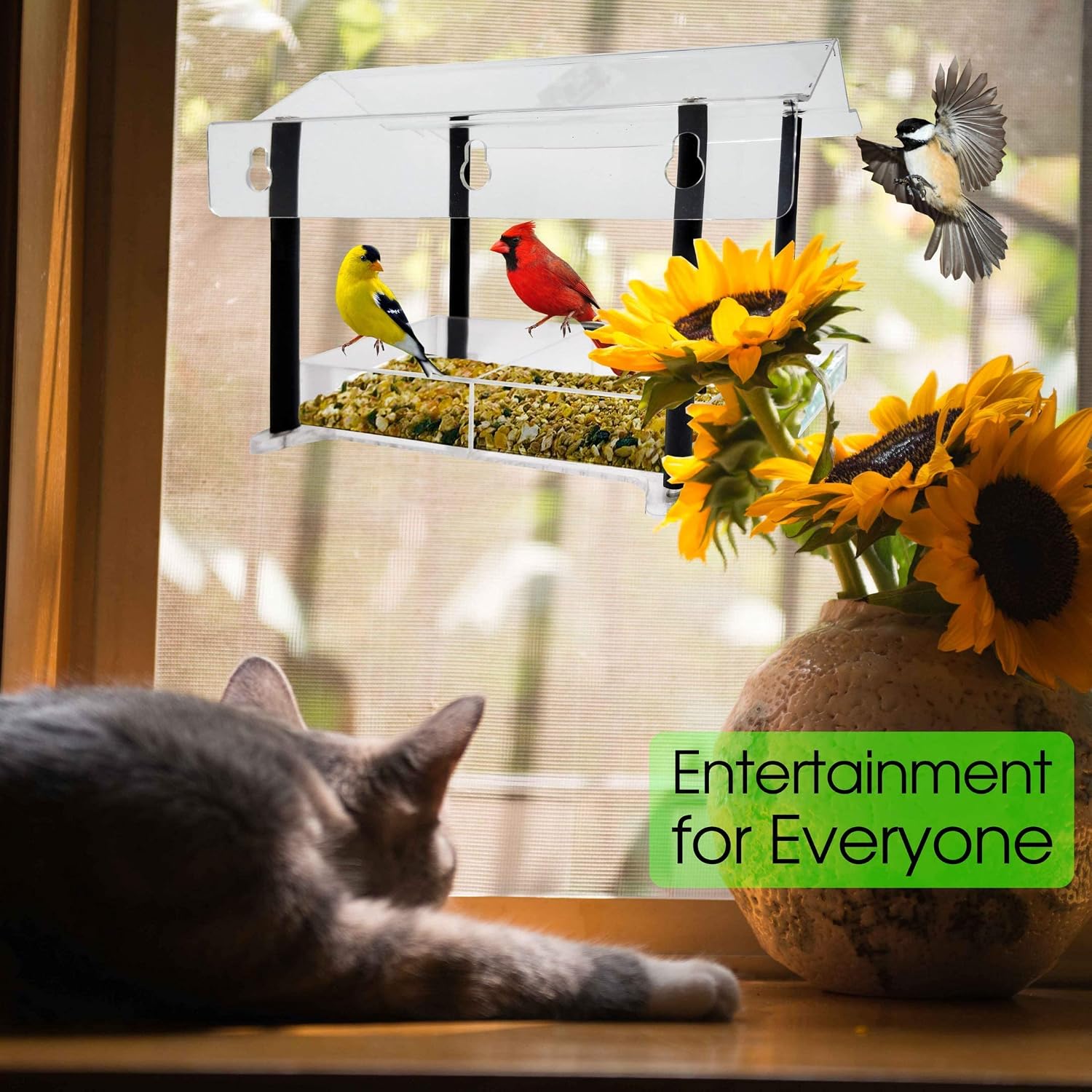 Nature Gear Pure View Hanging Window Bird Feeder - Suspended Design for Crystal Clear Bird Watching - Refillable from Inside Your Home