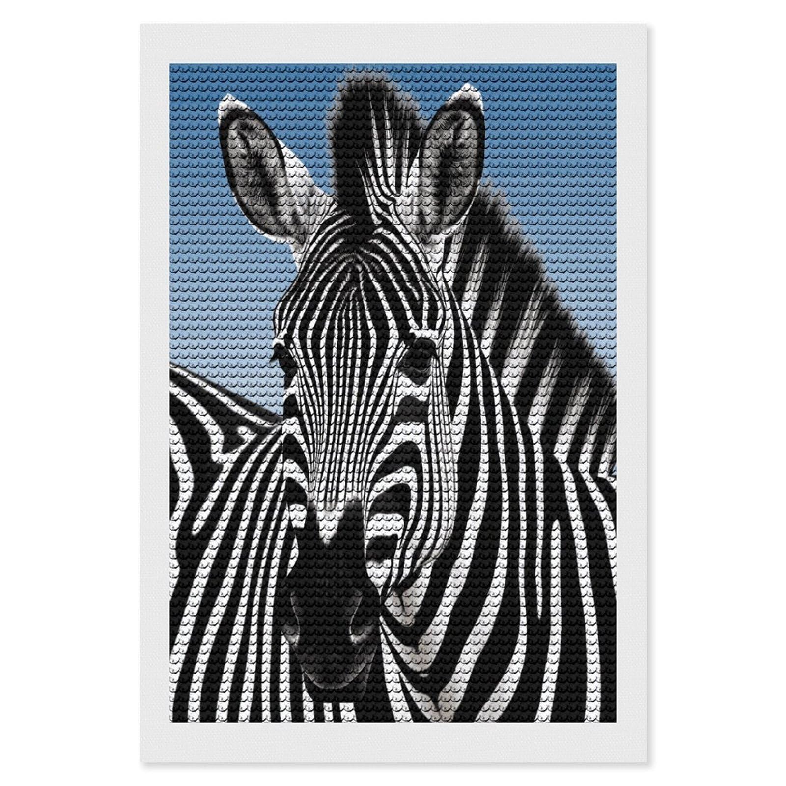 FekiLoot Zebra Diamond Art Kits for Adults Diamond Painting Kits for Beginners DIY Diamond Art Kits Round Full Drill Diamond Dot Gem Painting for Home Wall Decor Gift 8"x12"