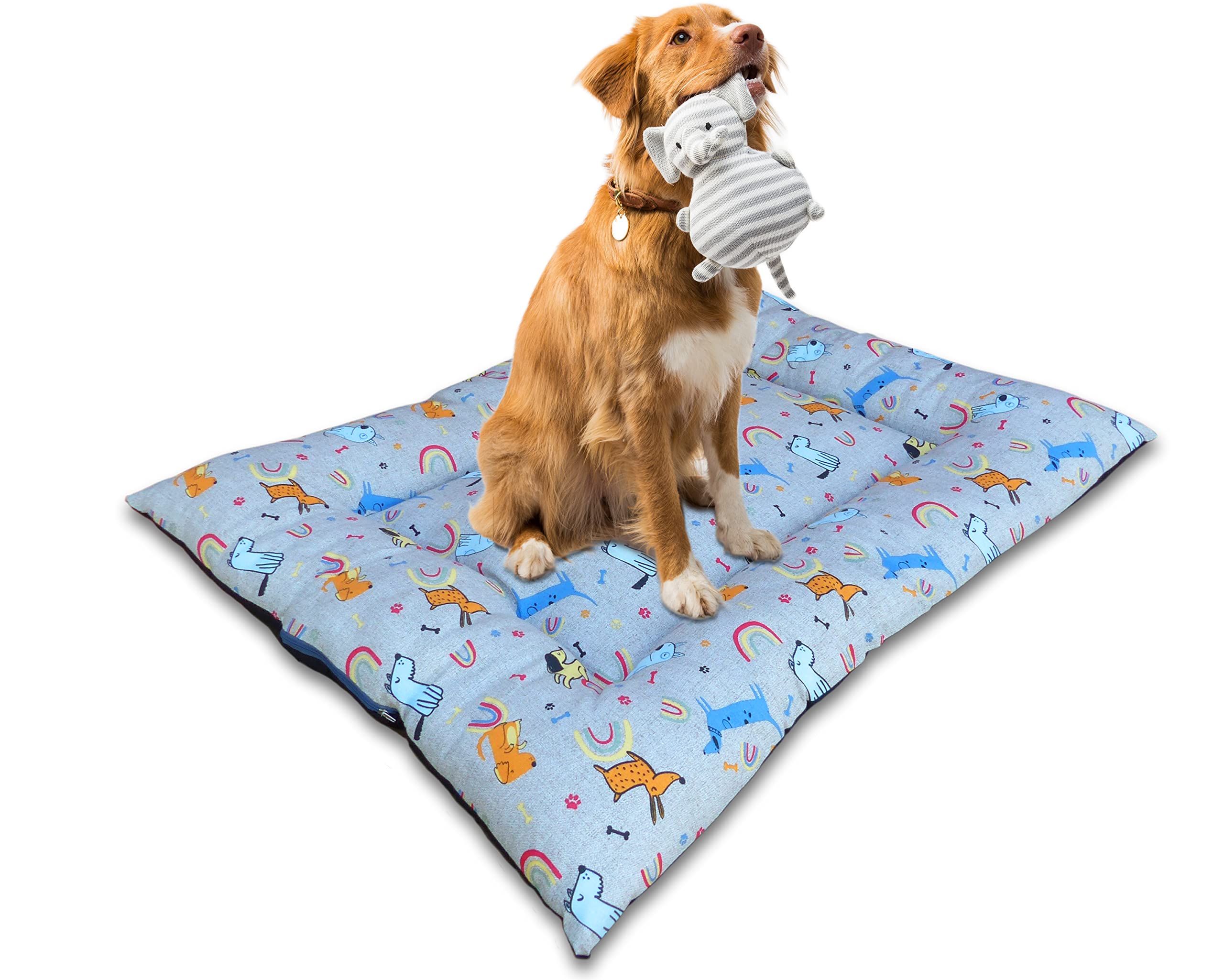 Cama Perro Grande o Mediano - Cojín, Alfombra, Colchón o Colchoneta de Mascota para Suelo, Lavable, 85x65 cm (Large, Arcoiris)