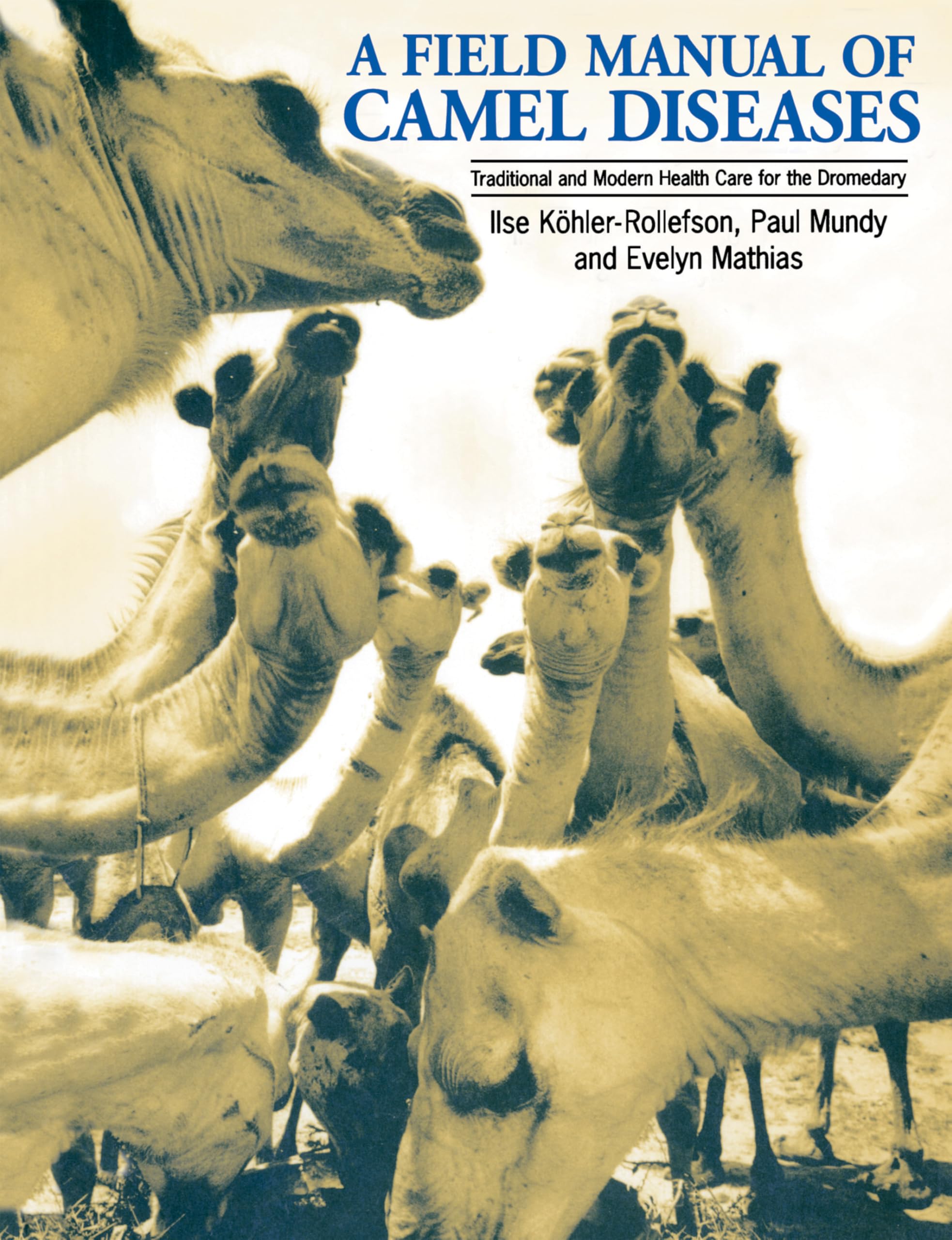 A Field Manual of Camel Diseases: Traditional and modern veterinary care for the dromedary