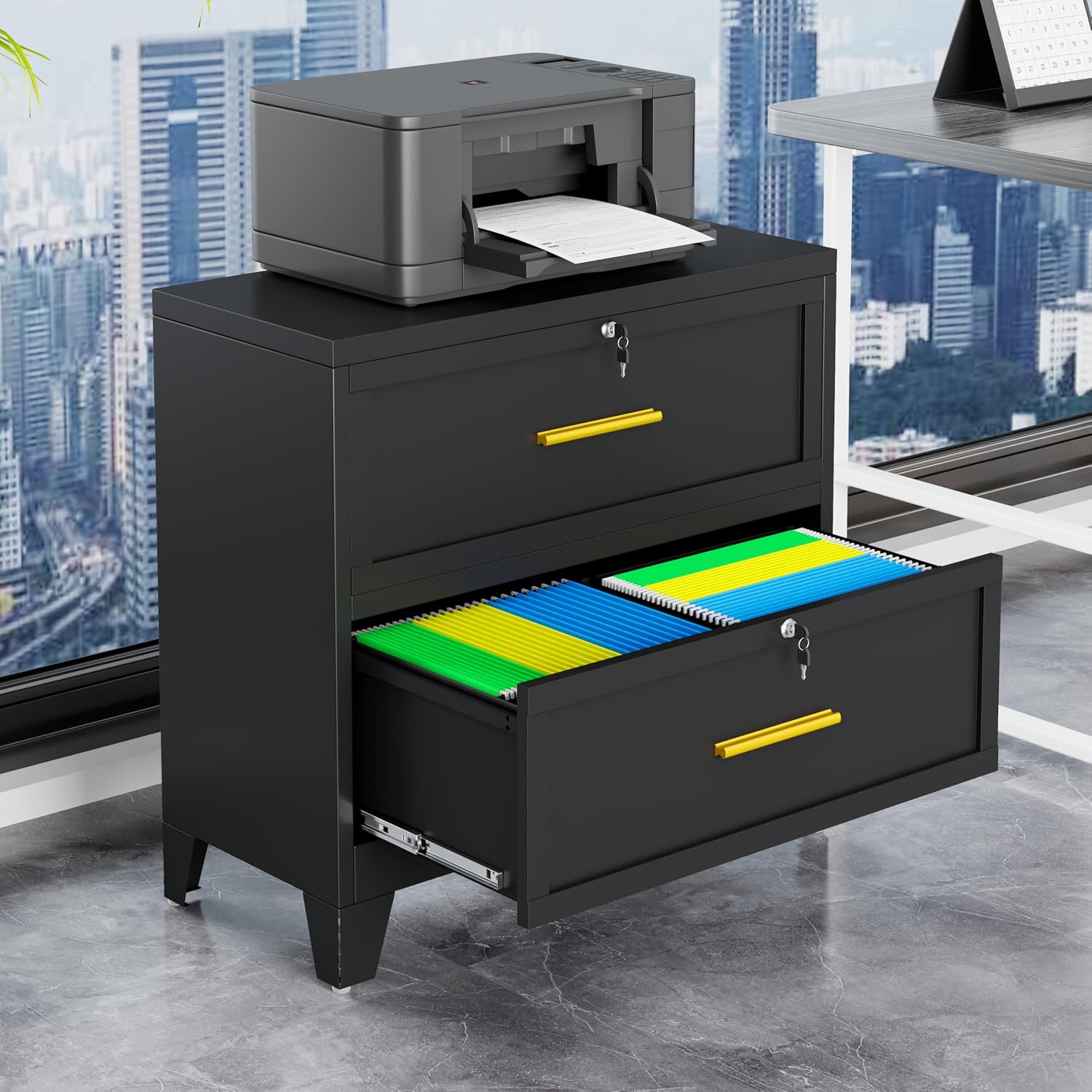 GAIOUS 2 Drawer File Cabinet with Lock, Metal Lateral Filing Storage Cabinet for Office Home, Steel Vertical File Cabinets for Letter A4 Size, Black Under Desk File Drawer, Assembly Required