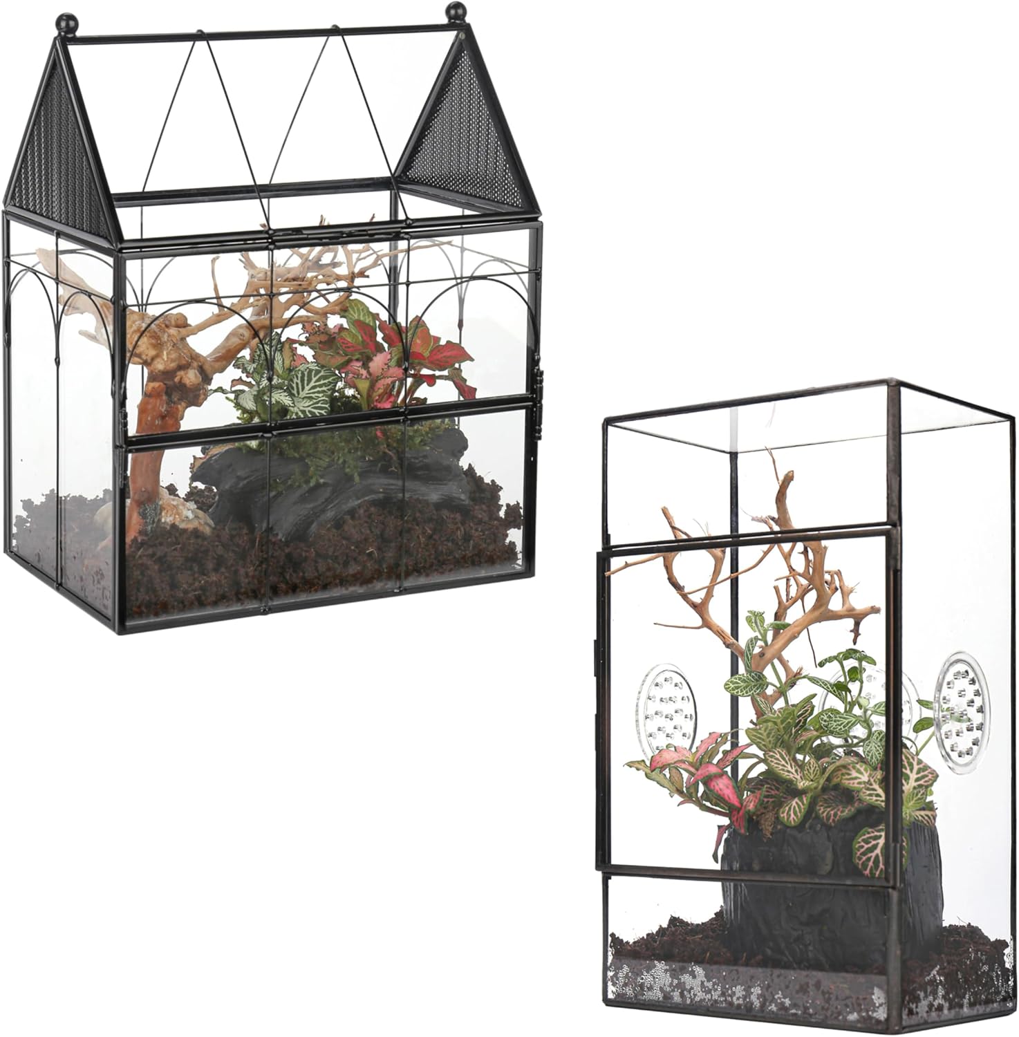 NCYP House Shape Glass Enclosure with Vent and Door, and Small Glass Terrarium with 3 Vent Holes, for Jumping Spider, Snails, Insects, Cactus Plants, Geometric Indoor Tabletop Decor (Terrarium Only)