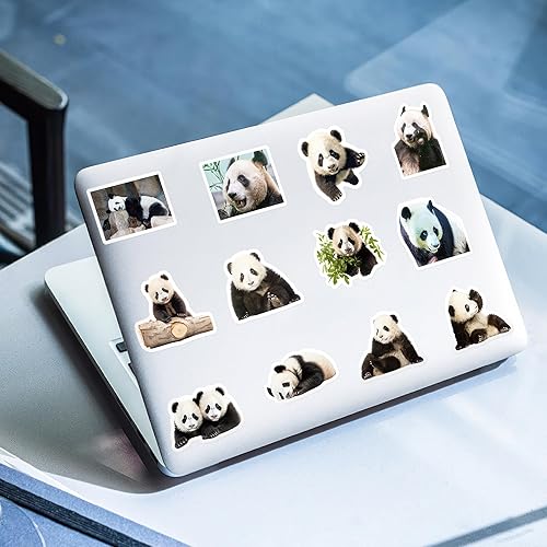 Miniatura 6 de 50 calcomanías divertidas de panda, lindas calcomanías de animales para niños, adolescentes y adultos, calcomanías impermeables para botellas de