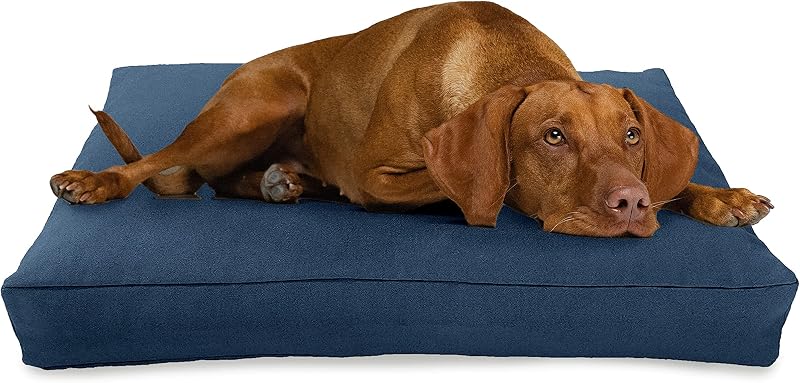 XX-Small - 18 x 12 x 4 - Blueberry Premium Organic Hemp Dog Bed - Organic Latex Fill - Removeable Cover