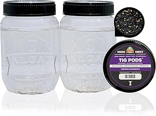 AlgaeBarn Live Copepods :: Tigriopus californicus Copepods :: Clean Your Tank :: Mandarin & Finicky Fish Food (6,000+ Pods)