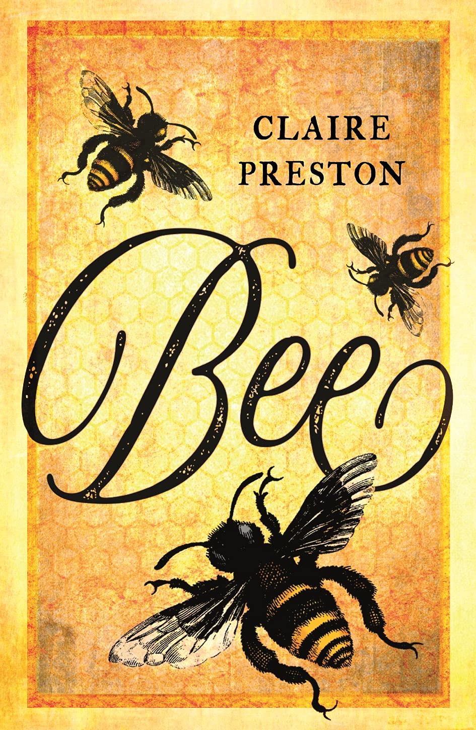 Bee (Animal)