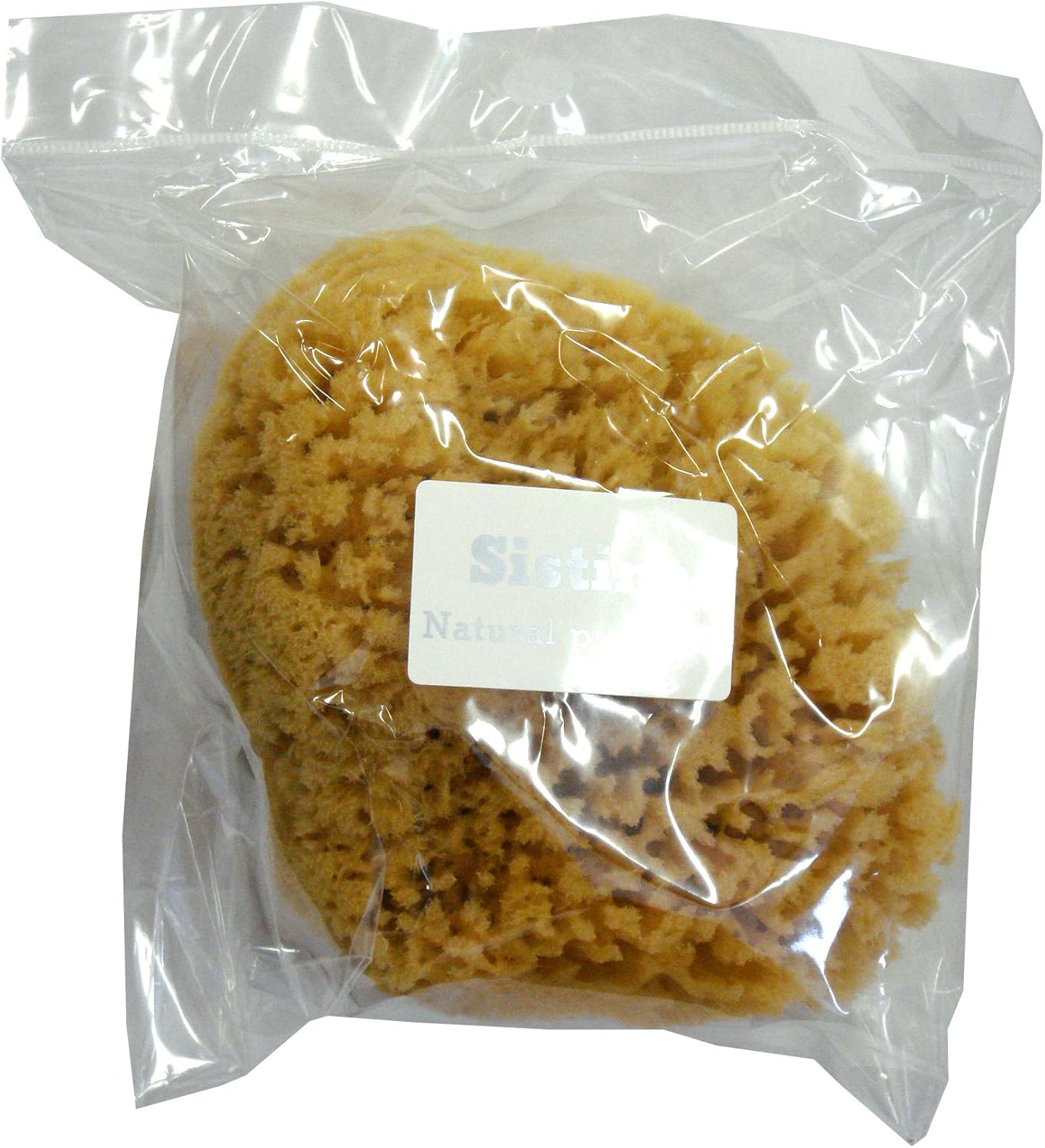 イシミズ ボディスポンジ ボディー海綿 再入荷 予約販売