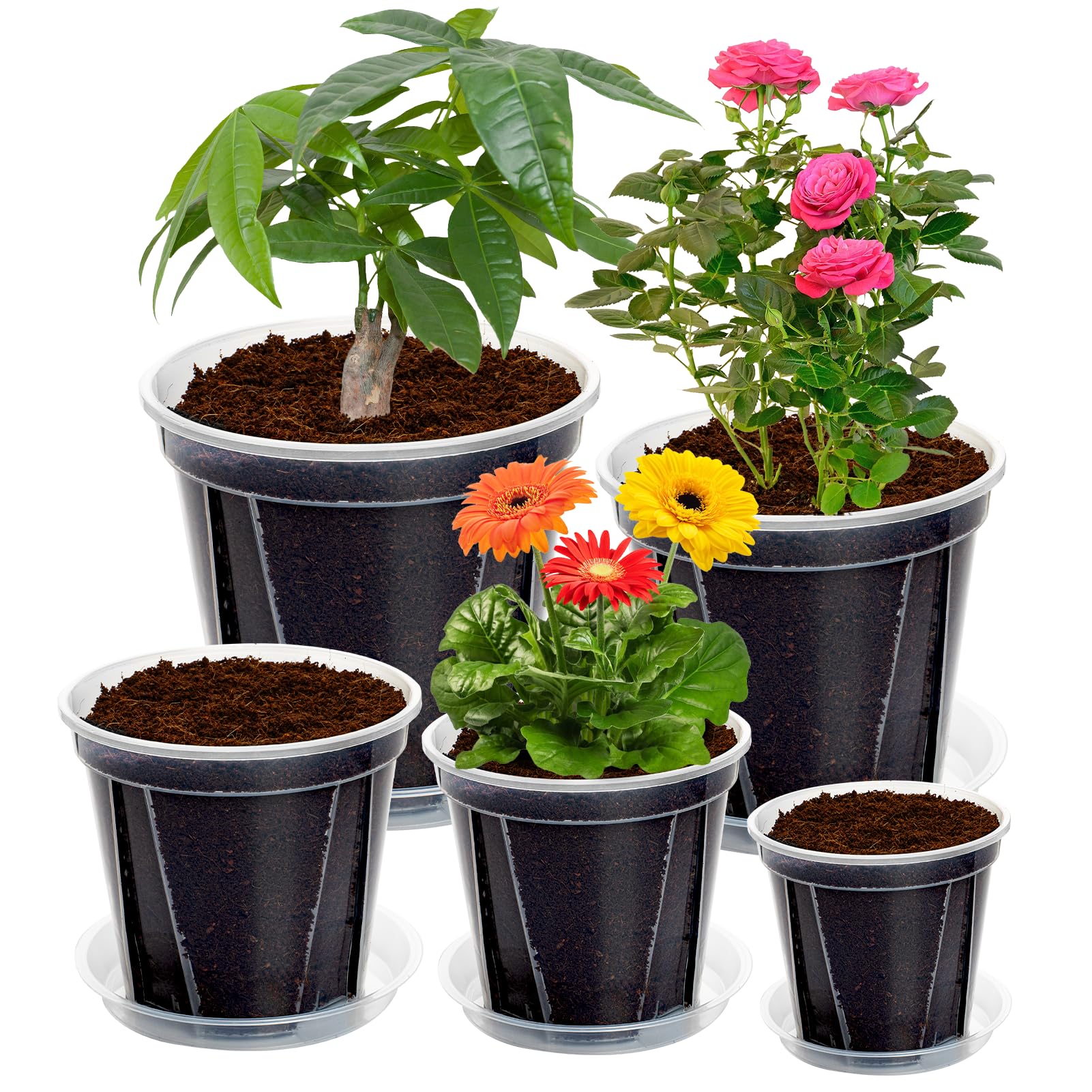 Pots Transparents avec Trou de Drainage, 10-16 cm, Renforcés avec Soucoupe, Pack Variété Plastique pour Semis