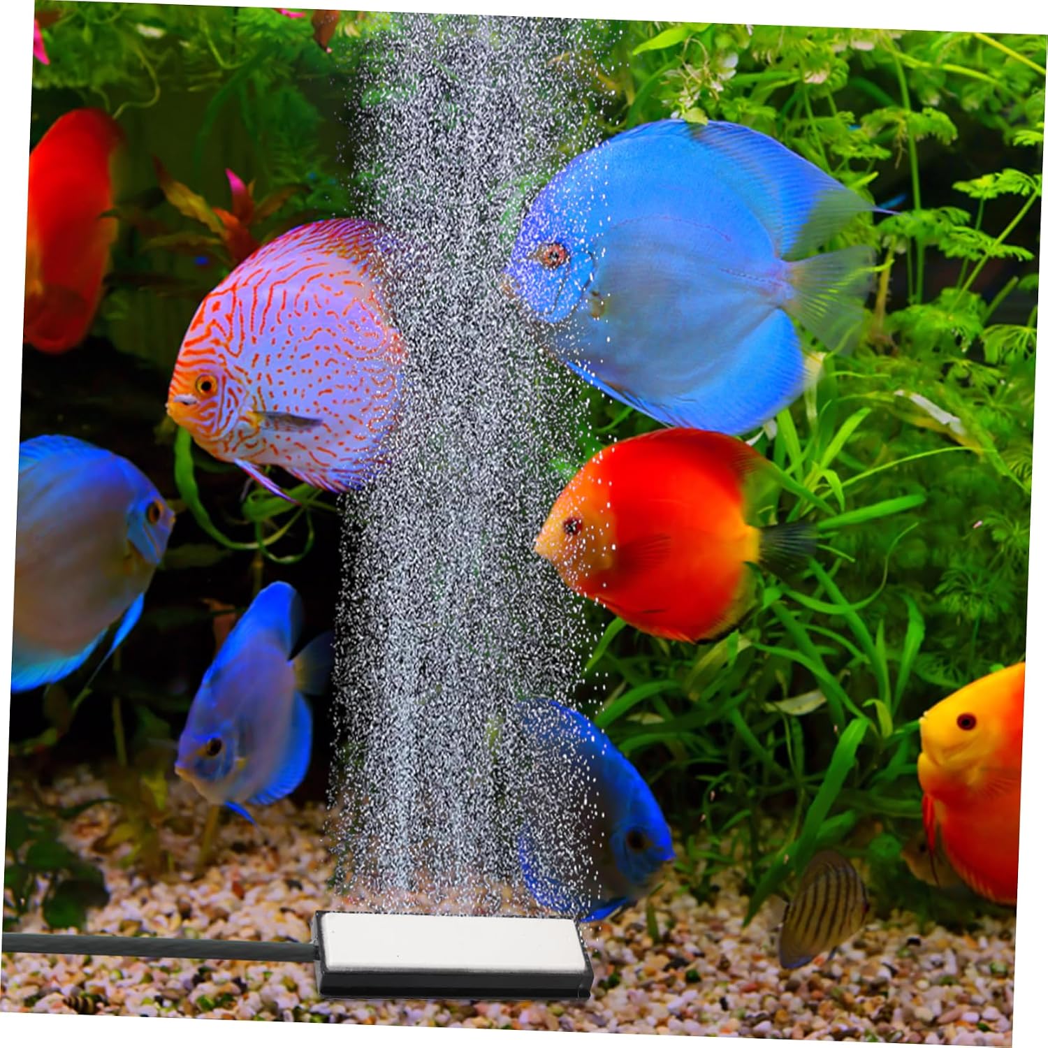 Aquarium Air Stone Bubble Diffuser Oxygen Pump Accessory for Freshwater and Tanks Efficient Oxygenation Removable Design for Fish Tank and Hydroponics