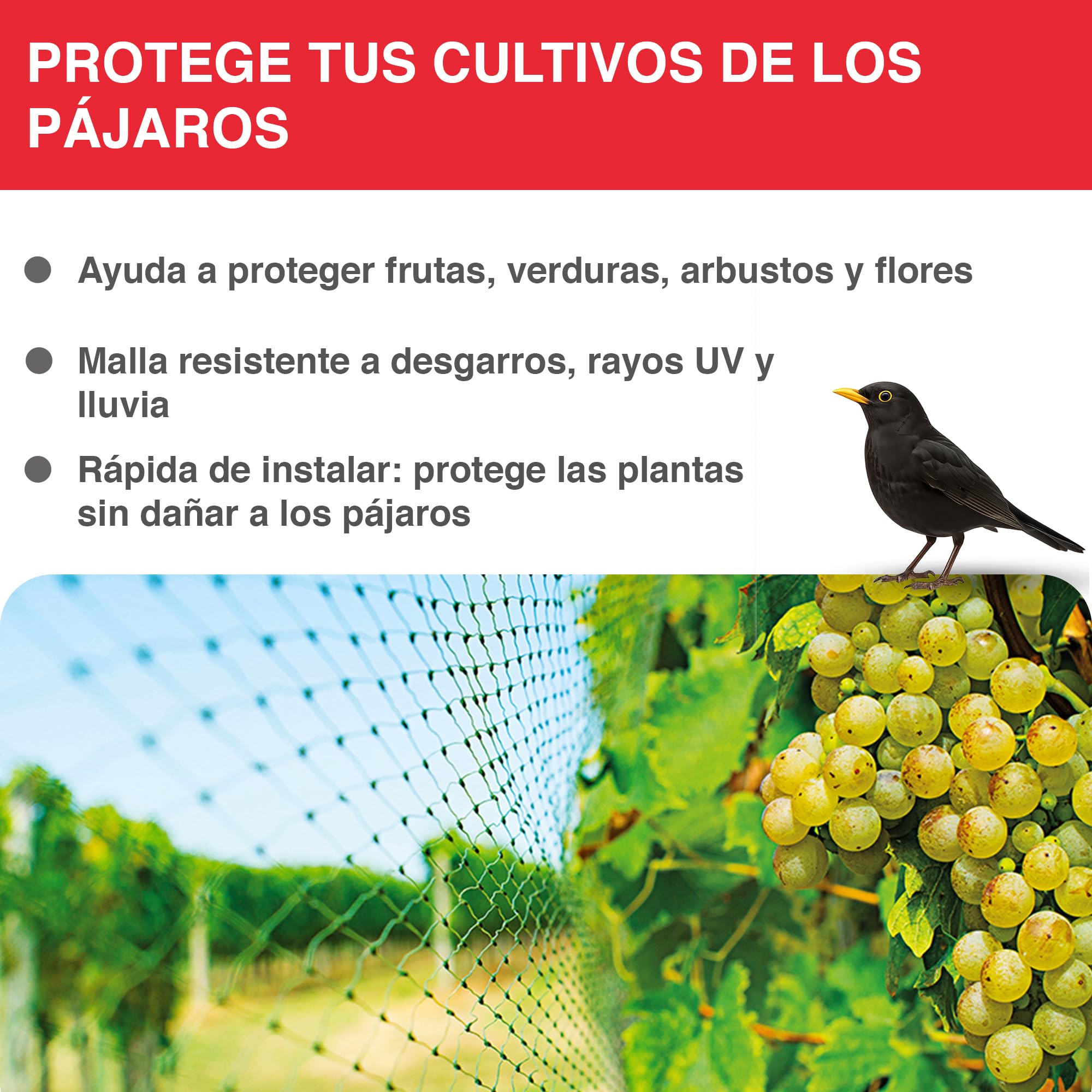 SWISSINNO Malla Antipajaros 4x10m - Red Protección para Campos, Cultivos - Malla para Aves, Protege Plantas, Frutas, Flores, Estanques - Verde