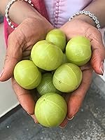 Vista 4 de Pure Indian Foods Amla en polvo orgánico, 8 onzas, amalaki soluble en agua, suplemento dietético ayurveda se disuelve completamente en agua