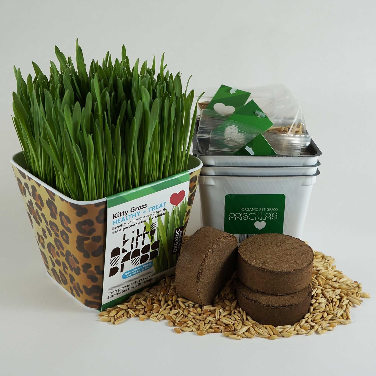 Priscillas Pet Products Kitty Grass Triple Kit (3 Harvests) (Blk, BRN and White, Leopard)