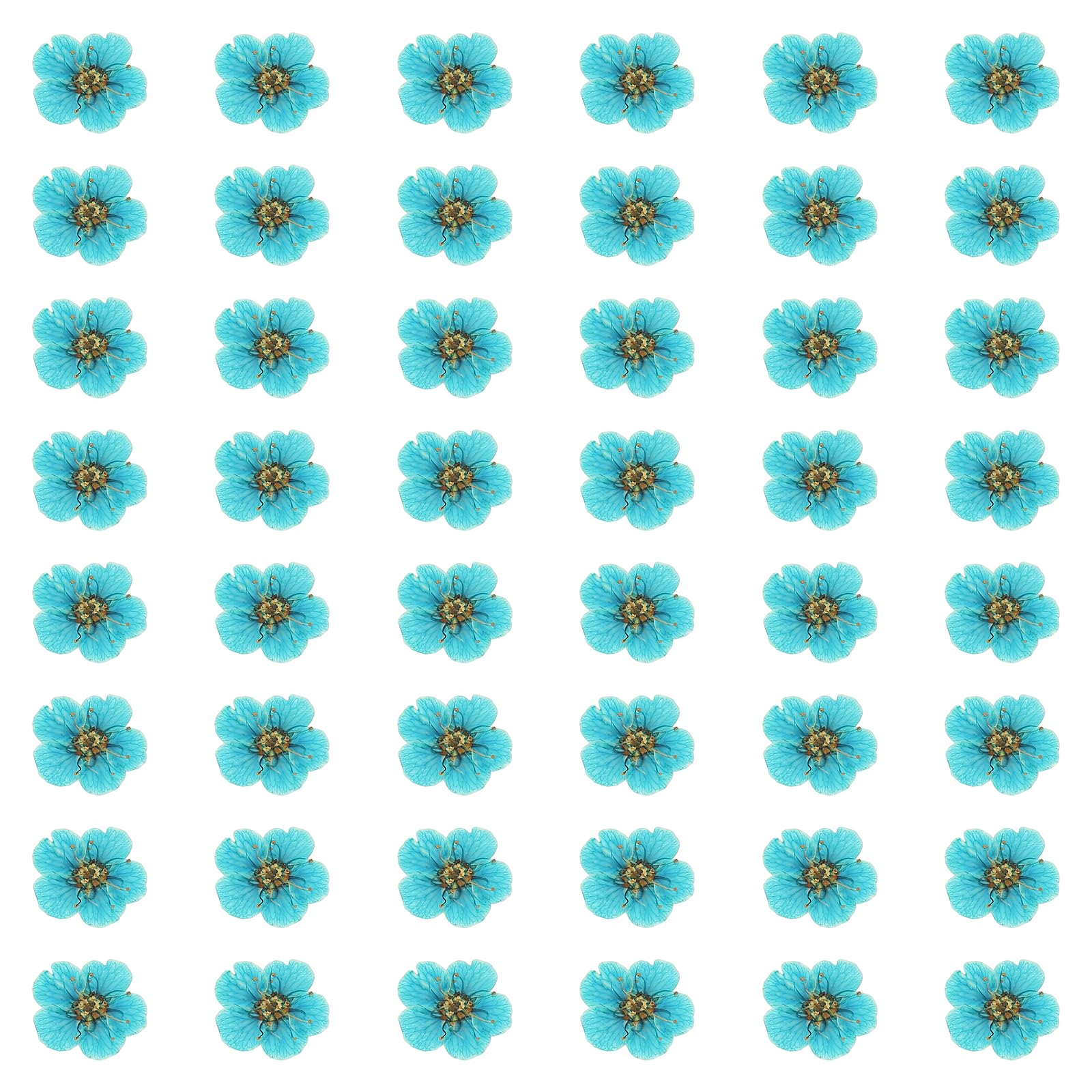 sourcing map 100Pcs Dried Pressed Flowers, 0.24-0.31" Colorful Dried Pressed Narcissus Flowers Bulk for Nail Art Resin Jewelry Candle Card Making Scrapbook Phone Case Decoration, Lake Blue
