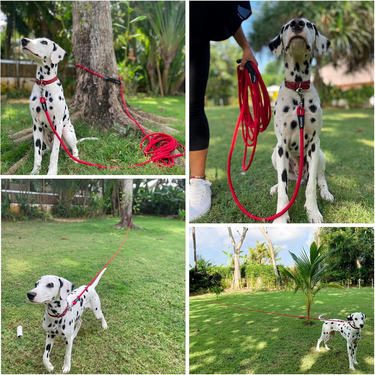 Tuff Pupper Heavy Duty 30 Foot Long Rope Leash for Dogs | Dog Recall Training Lead | High Visibility Strong Climbing Rope Leash | Hand or Waist Worn | Stainless Steel 360° Clips for Tangle Free Use