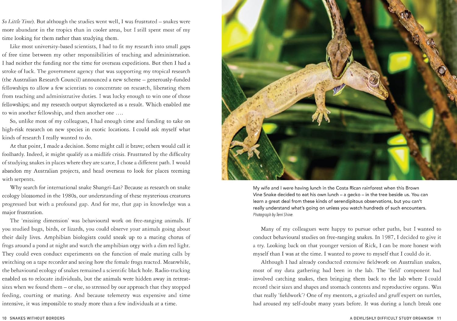 Snakes Without Borders: A collection of amazing stories from one of the world's leading herpetologists, who spent 50 years conducting research on snakes
