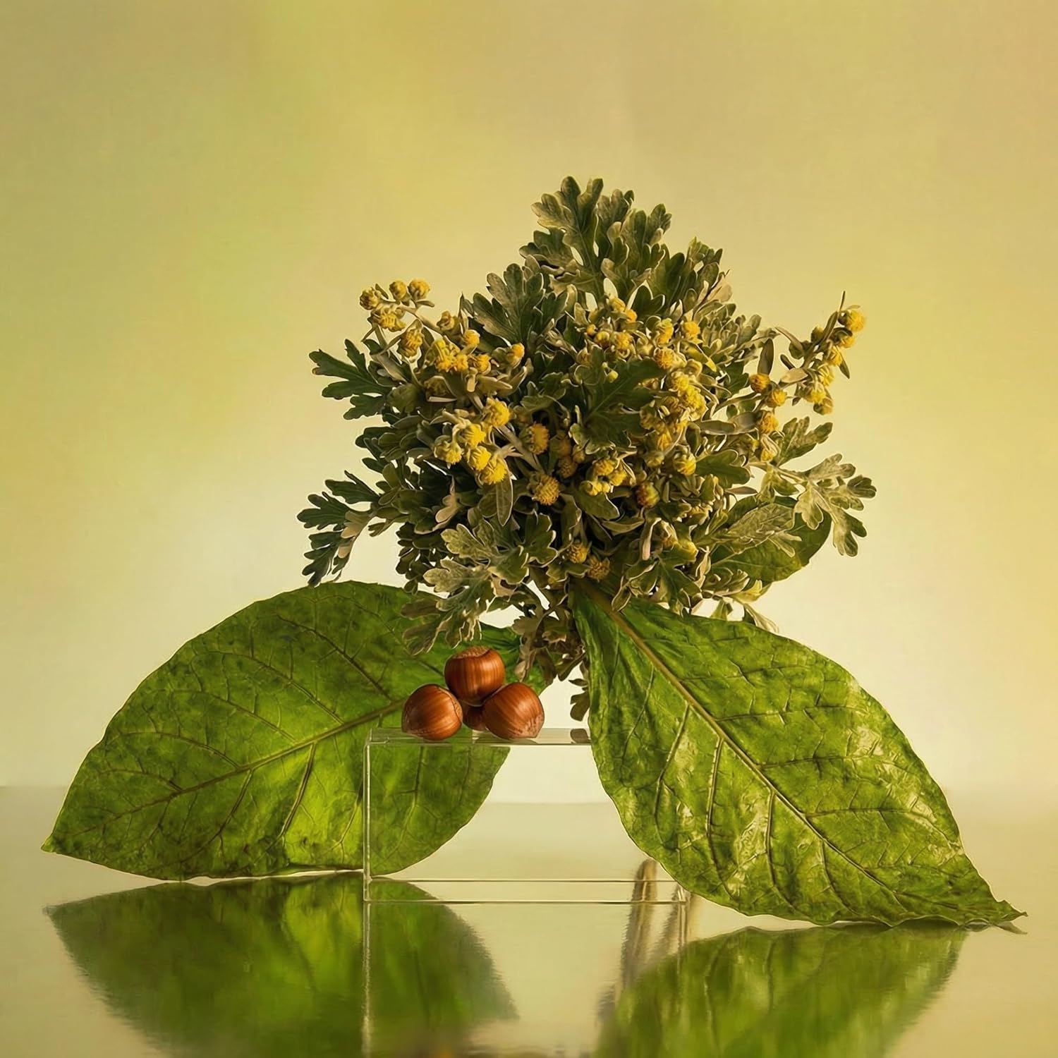 Five Senses Travel Perfume, Extrait de Parfum, 10ml / 0.34 Oz Unisex - Image 2