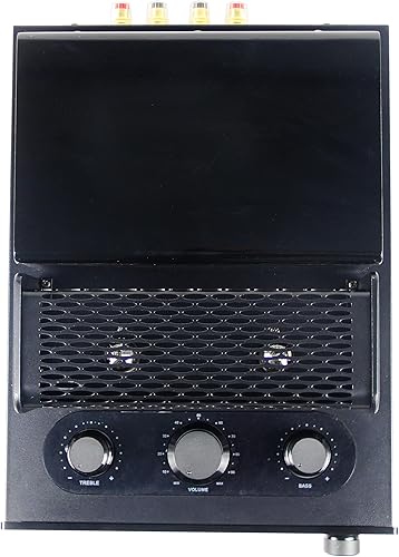 Miniatura 6 de INFI Audio Amplificador híbrido de tubo de clase AB 6N3 amplificador de potencia con Bluetooth Home Audio HiFi receptor estéreo amplificador