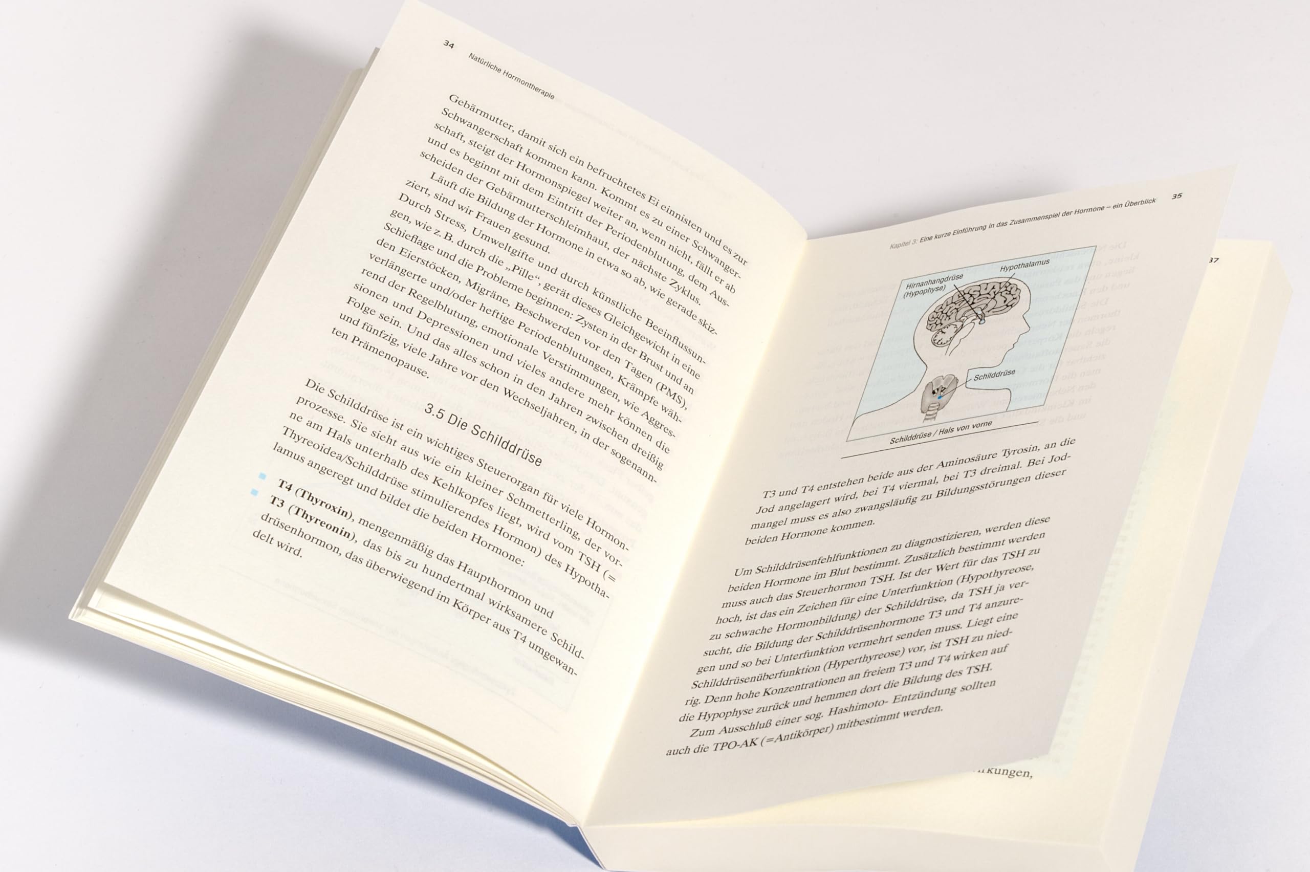 Natürliche Hormontherapie: Alles Wissenswerte über Hormone, die Ihre Gesundheit ins Gleichgewicht bringen - Erweiterte und überarbeitete Neuauflage des Bestsellers