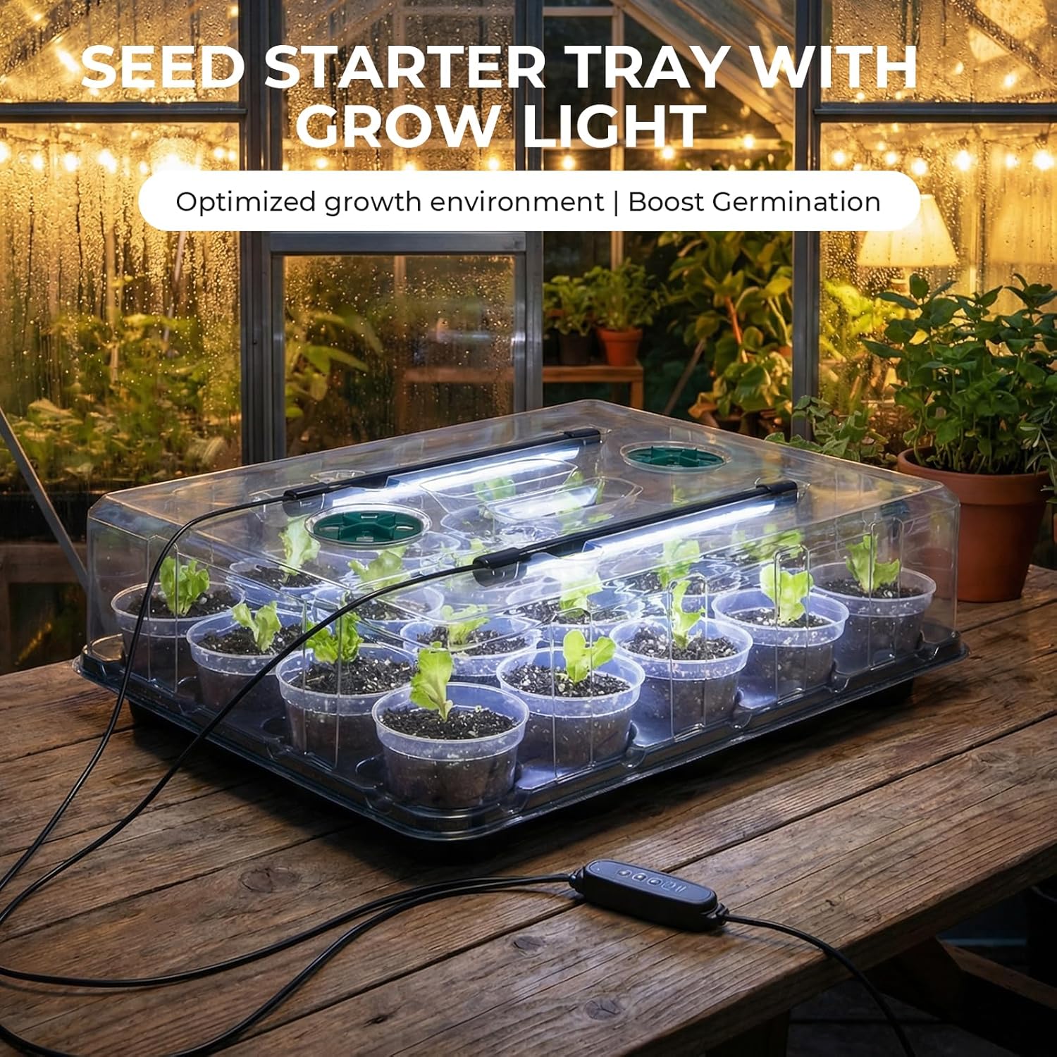 homenote 3 Inch Seed Starter Trays 2 Pack,20-Cell Seedling Starter Trays with Grow Light/Humidity Dome/3" Nursery Pots 40 Pcs,Planting Trays for Seedling,Plastic Germination Kit for Growing