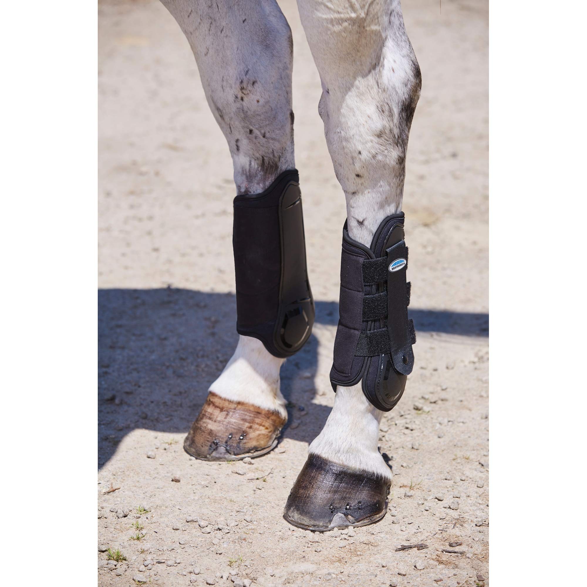 Weatherbeeta - Protectores para patas traseras modelo Cross Country para caballos (Cob) (Negro)