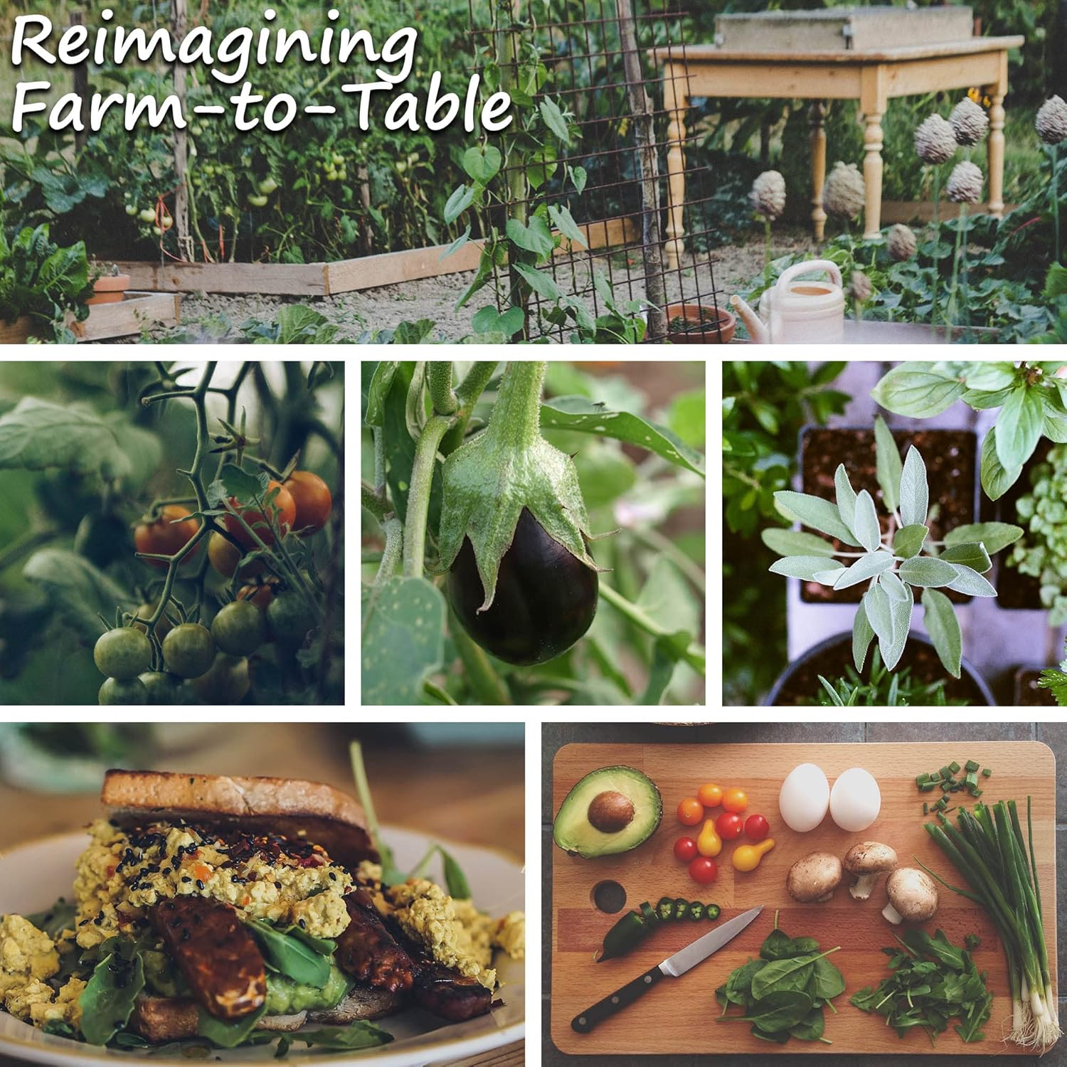 Eggplant Seeds - Round Mauve - 4 Oz ~26000 Seeds - Solanum melongena - Non-GMO, Heirloom - Farm & Vegetable Garden