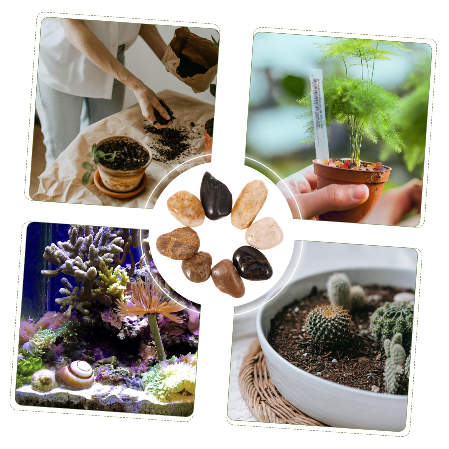YARNOW 3 Ensembles Pavé Filtre D'aquarium Réservoir Fosse Mini-aquarium Plantes D'aquarium Piscine Couvercle D'aquarium Planteur Fonctionnalité Feux D'aquarium Sphaigne Décor Pot Pierre