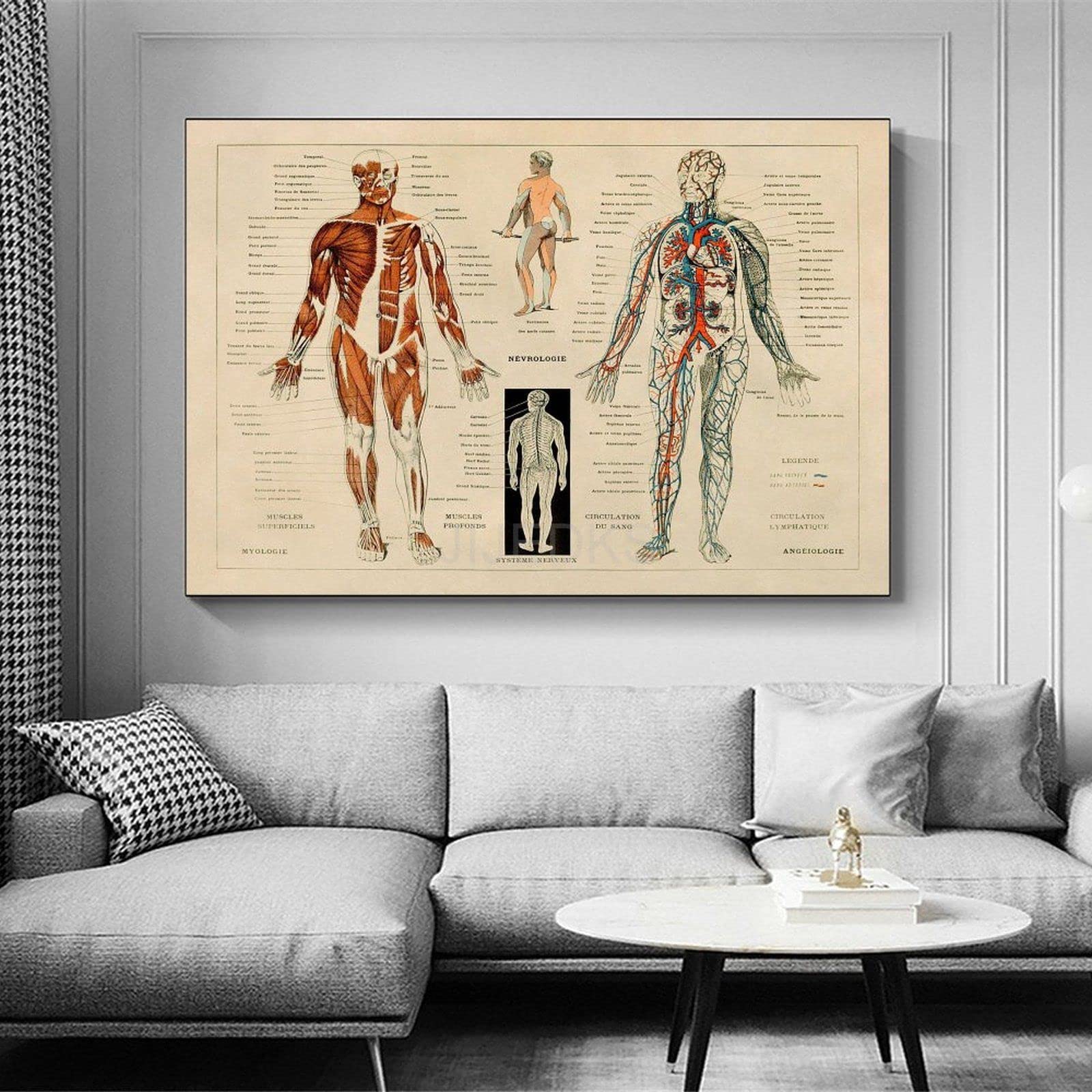 Poster Su Tela Diagramma Di Agopuntura - Anatomia Medica - Quadro Decorativo Per Casa E Studio (20x30 Cm, Senza Cornice, Personalizzabile)