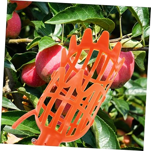 Miniatura 3 de Hemoton 2 unids Recogedor de Frutas Stick Acero Inoxidable Tuercas Recogedor de Frutas Cesta Recolector de Frutas Herramienta Recogedor de Frutas