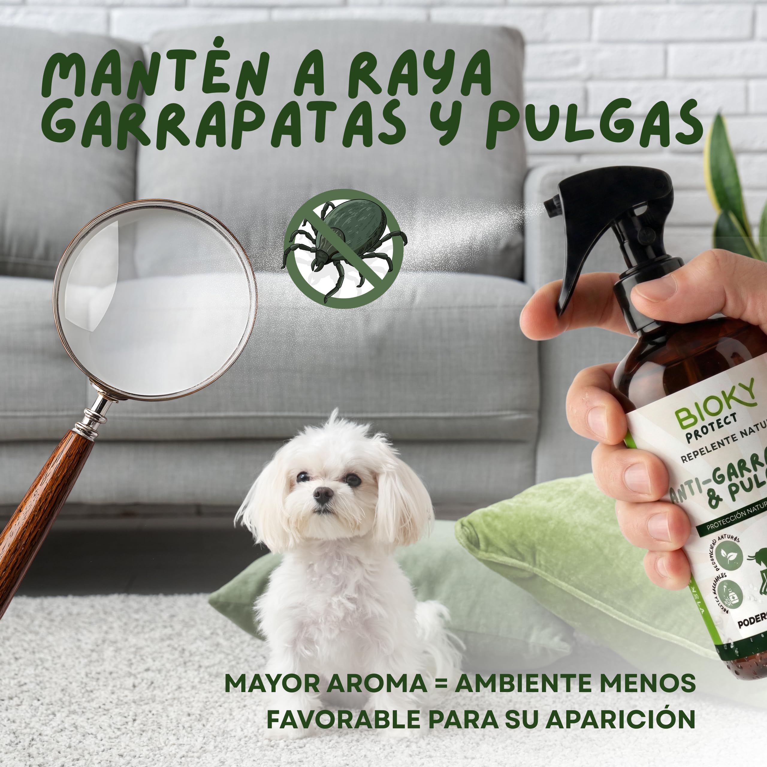 Protect Spray Garrapatas y Pulgas 250ml | Repelente ideal para Ropa, Casa, Camping, Excursiones | con Aceite de Geranio, Clavo y Canela | x10 veces Más Concentrado | No Mancha