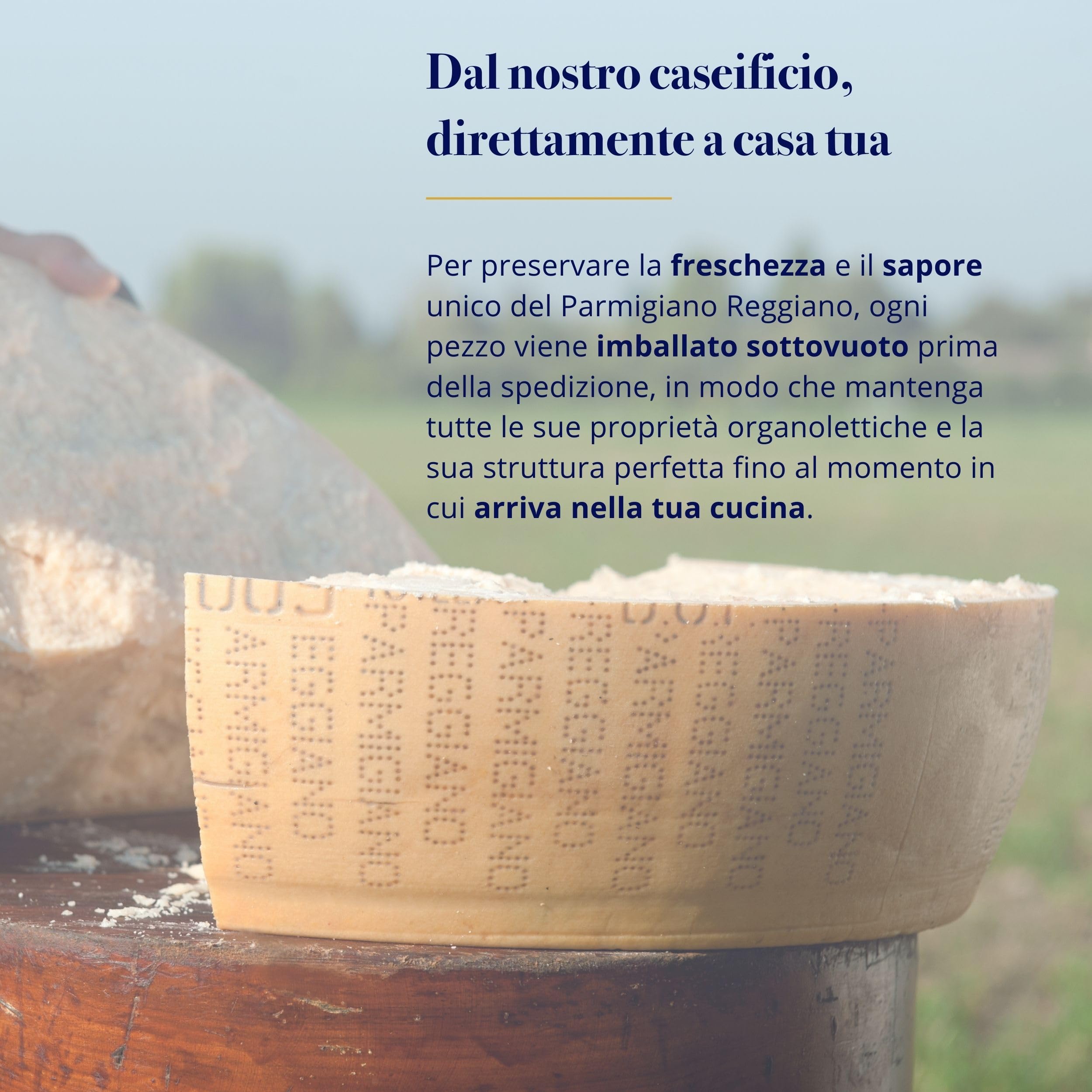 Parmigiano Reggiano Dop 14 mesi da Allevamento e Agricoltura Sostenibili - Premiata Produzione Artigianale dal 1949 - Formaggio Naturalmente Privo di Lattosio ANTICA LATTERIA DUCALE (1kg - 2pz)
