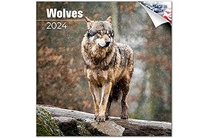 2023 Wolf Wall Calendar - Wildlife Monthly Wall Calendar