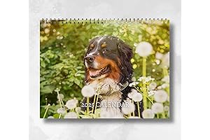 Bernese Mountain Dog Calendar 2025: A Pawfect Pick for Dog Lovers!