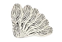 Shoe Insoles for Women 6 Pair Pack Zebra Set Soft Touch, Comfortable Ladies Shoe Inserts for Everyday Use, Shoe Insoles with Stylish Zebra Print Design, Kaps (40 EUR / 9 US/Women)