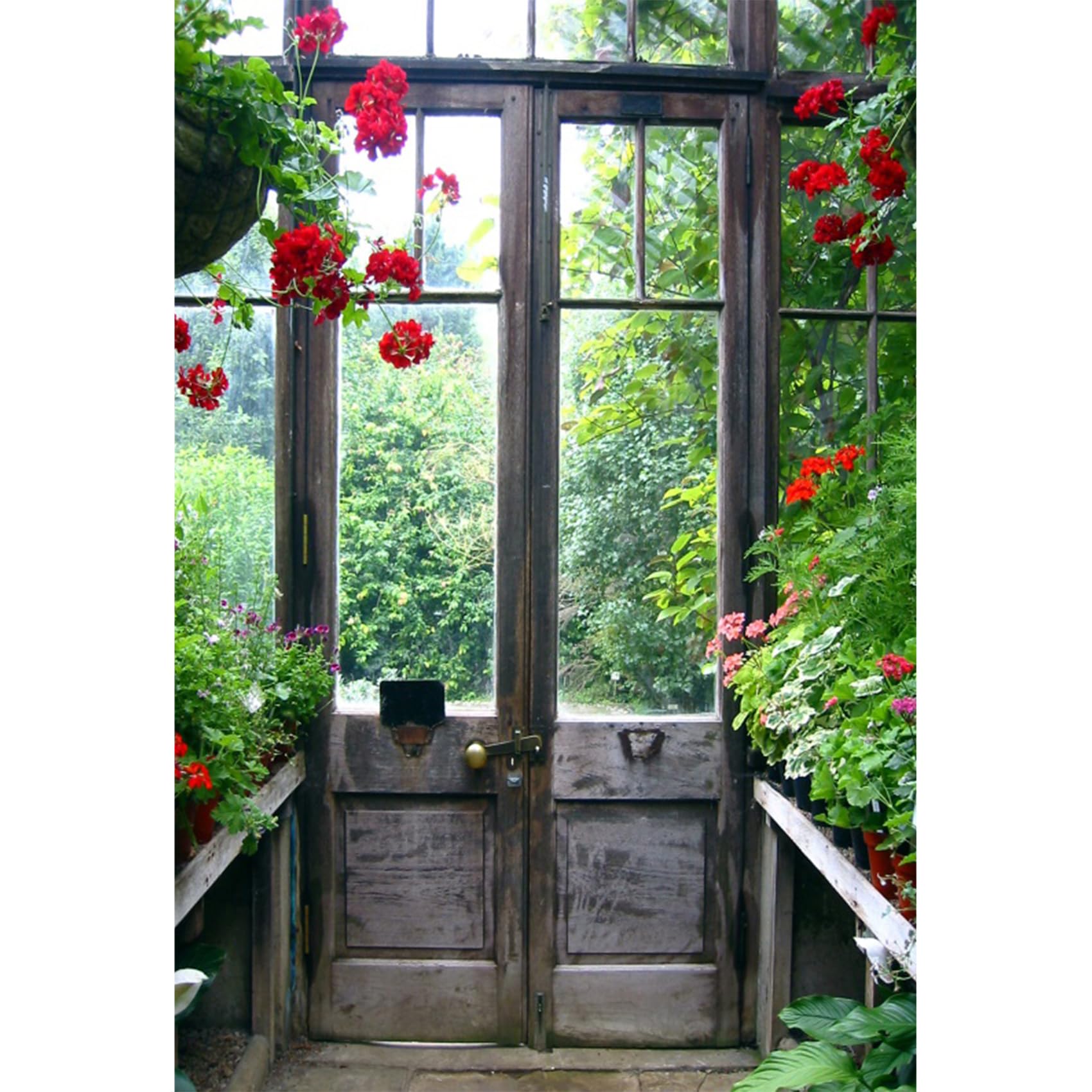 Baocicco 5x7ft Flower House Backdrop Greenhouse Yard Castle Spring Wedding Ceremony Glass Door Backdrops for Photography Spring Landscape Flower