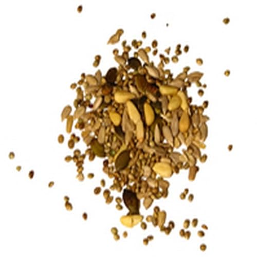 Peppercorn Steak with Thyme Butter Sauce - //medicalbooks.filipinodoctors.org