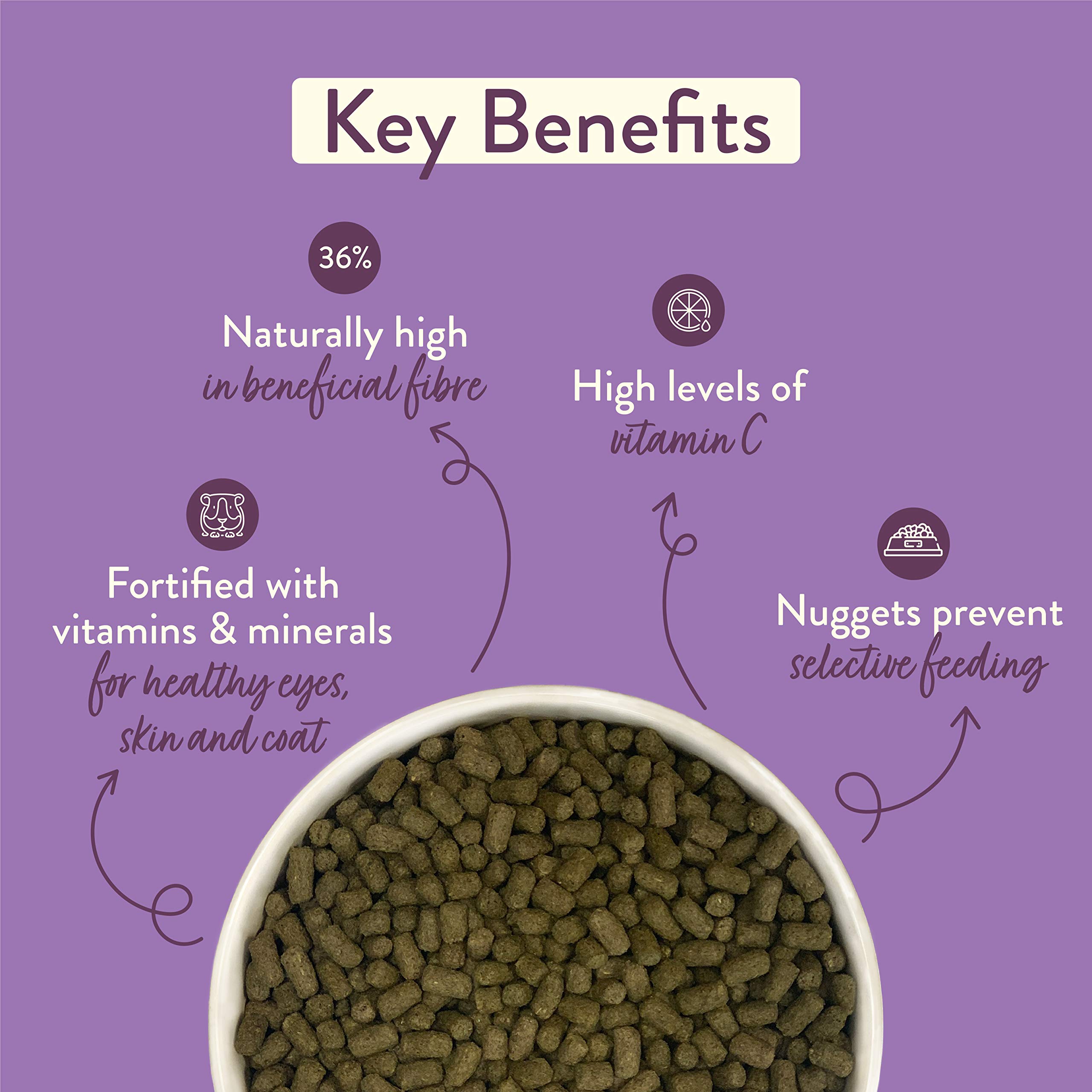 Burgess Excel Pellets mit schwarzer Johannisbeere und Oregano für Meerschweinchen, 10 kg